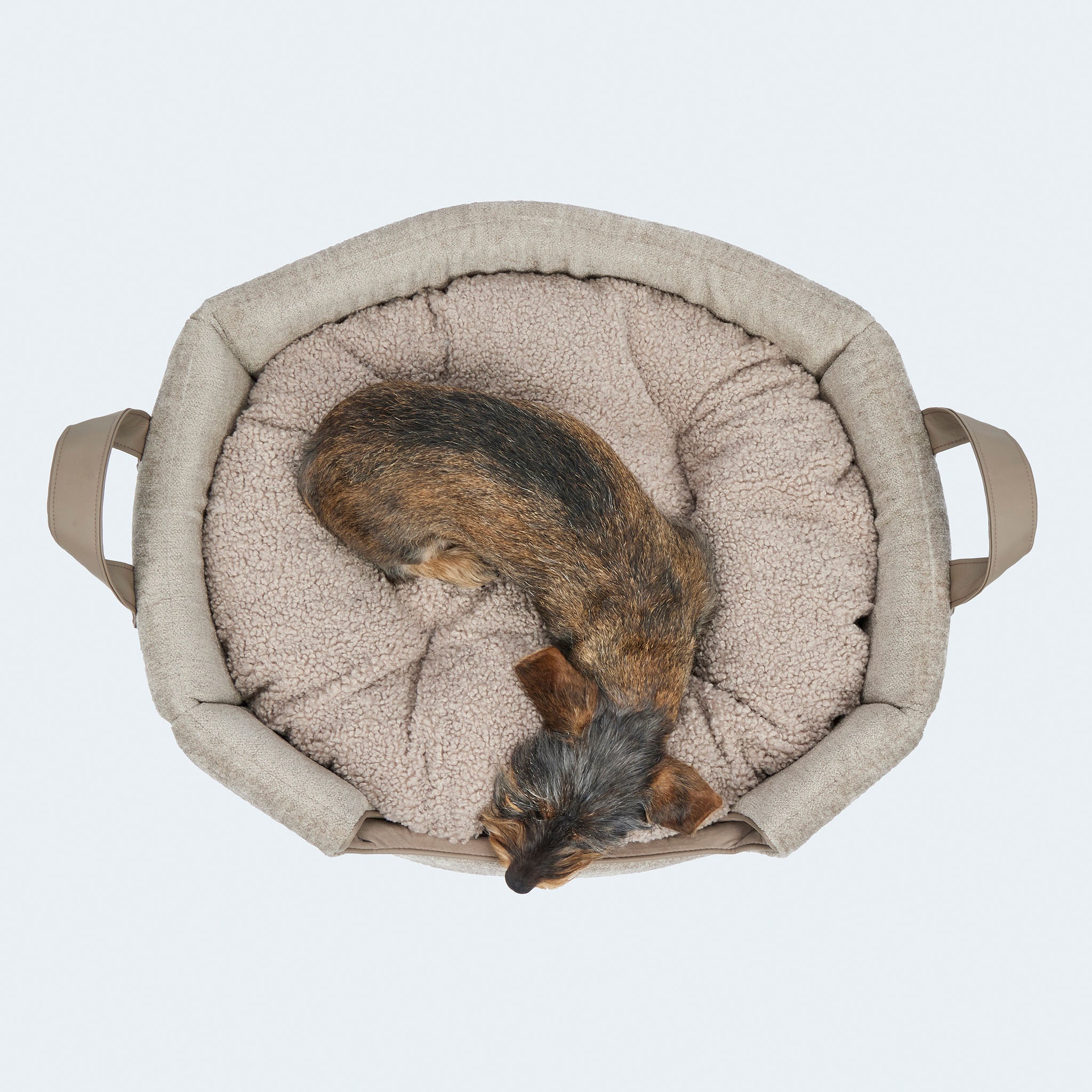 Hundehöhle und Hundebett [M]