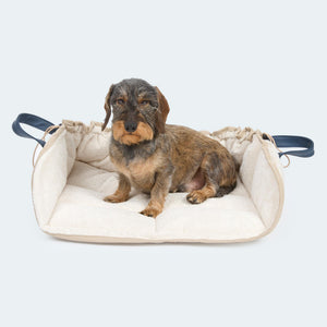 Black Friday | Leopold's Finest for dogs