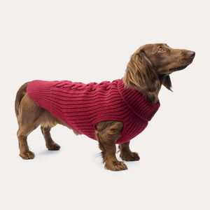 Leopold's Finest for Dogs Langhaardackel trägt Hundestrickpullover in Bordeaux Seitenansicht