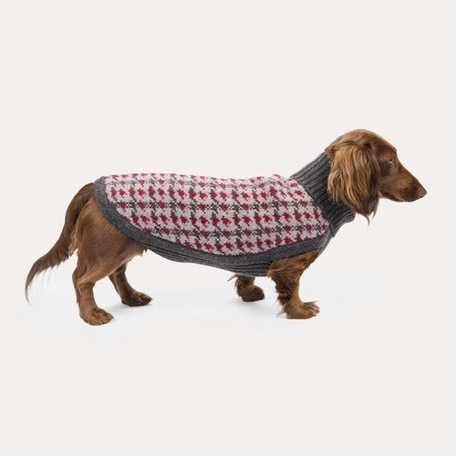 Leopold's Finest for Dogs Langhaardackel trägt Hundestrickpullover mit Karomuster braun Seitenansicht