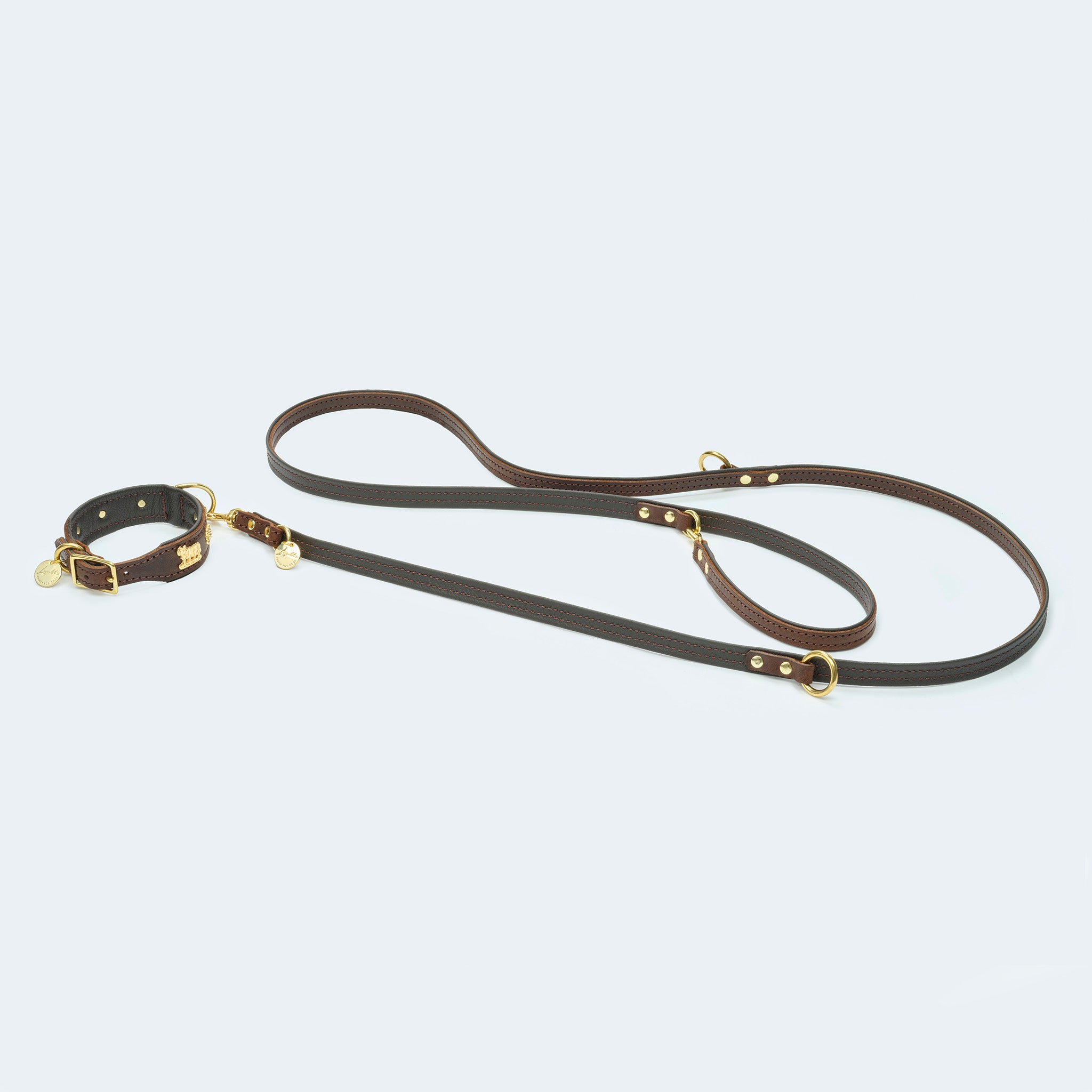 Leopold's Finest | Verstellbare Hundeleine in dunkelbraun mit goldenen Karabinern aus Messing mit Hundehalsband Kuhbeschlag in dunkelbraun für Dackel und kleine Hunde