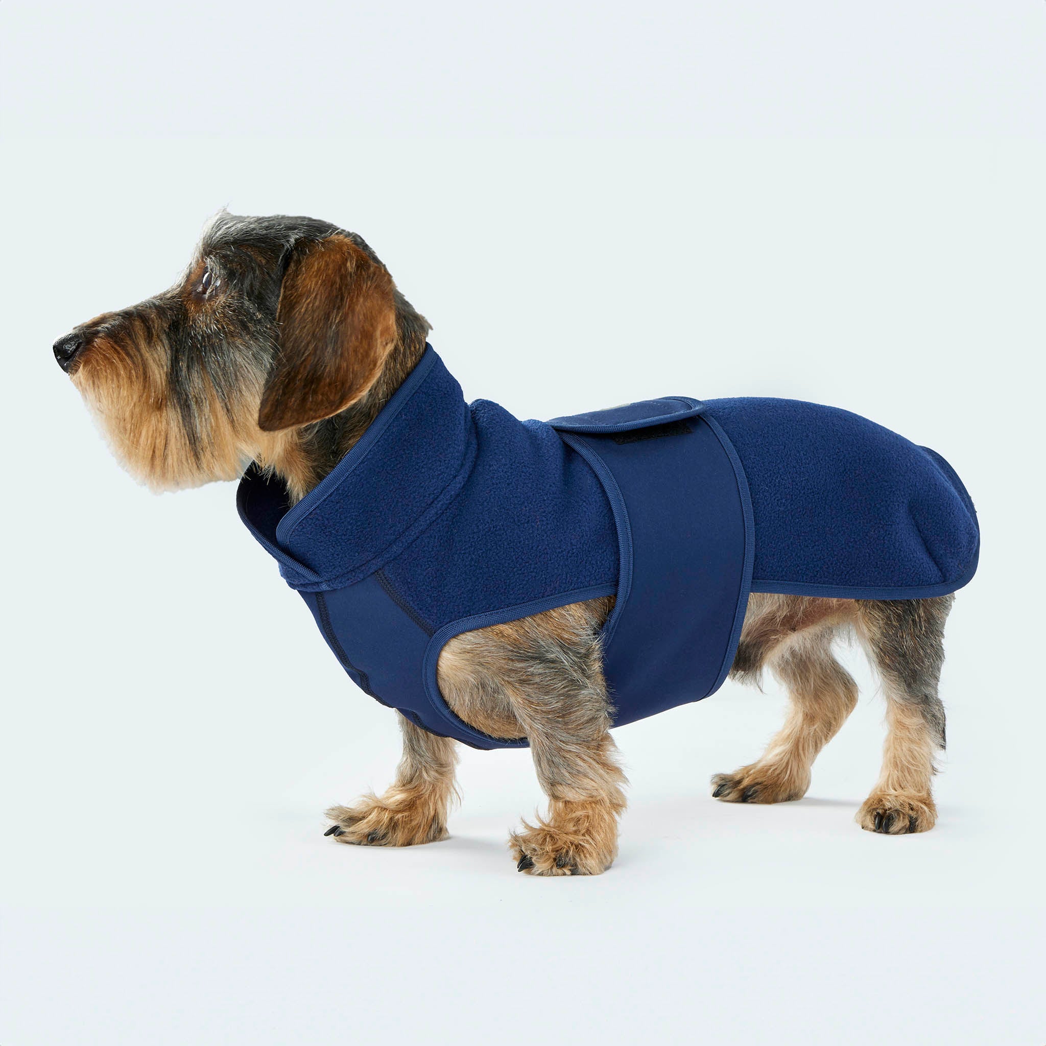 Leopold's Finest | Dackel trägt Hundemantel Fleece in Dunkelblau mit Softshellbrustlatz Seitenansicht Ganzkörper für Dackel und kleine Hunde