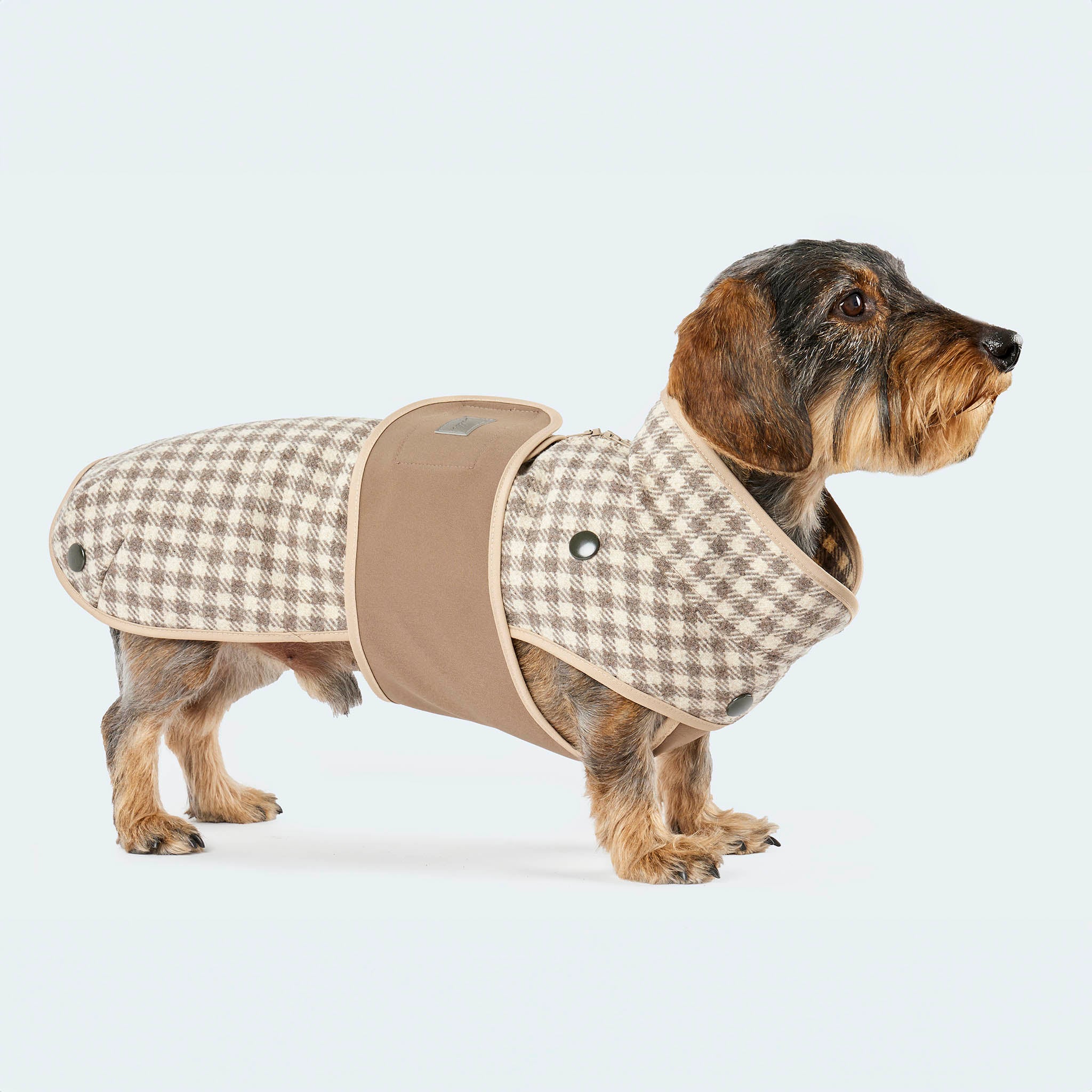 Leopold's Finest | Dackel trägt Wollmantel für Dackel und kleine Hunde im beigen Vichykaro-Muster mit Curly-Innenfutter und Softshell-Brustlatz. Seitenansicht