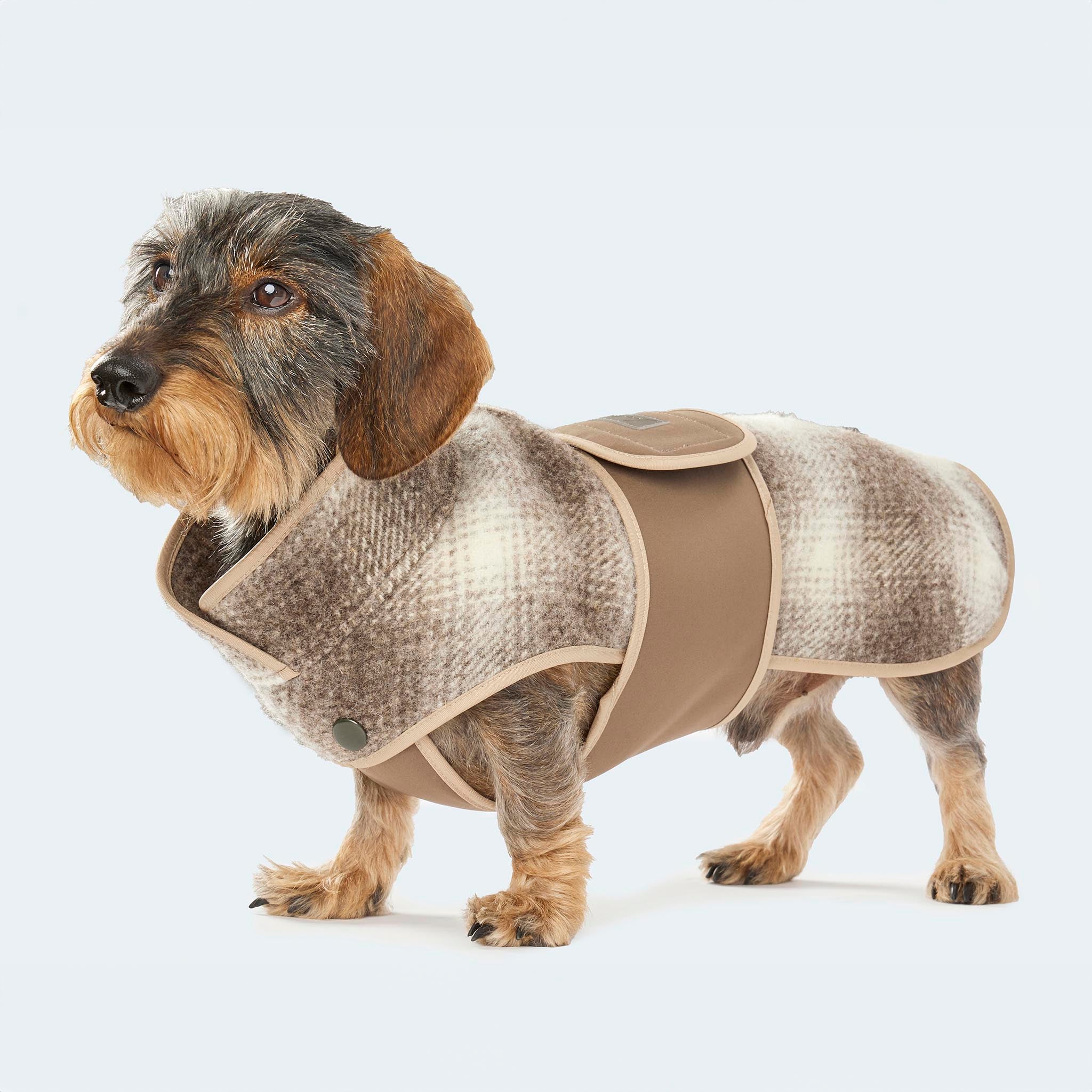 Leopold's Finest | Dackel trägt ungefütterten Lodenmantel in braunem Karo Muster mit braunem austauschbarem Ersatz Softshell Brustlatz für Dackel und kleine Hunde Seitenansicht