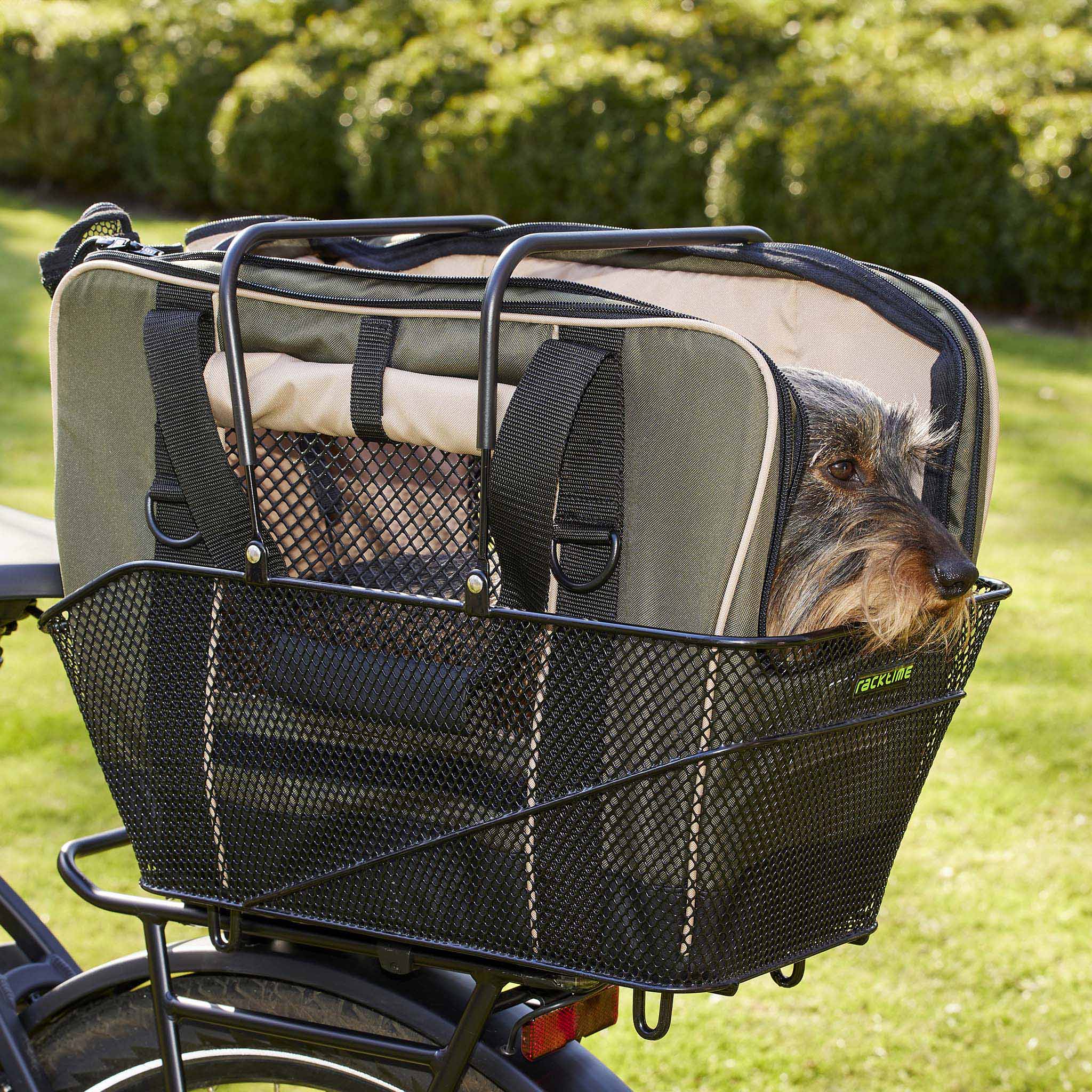 Fahrradtasche für Hunde in oliv mit Dackel im Fahrradkorb alles geöffnet