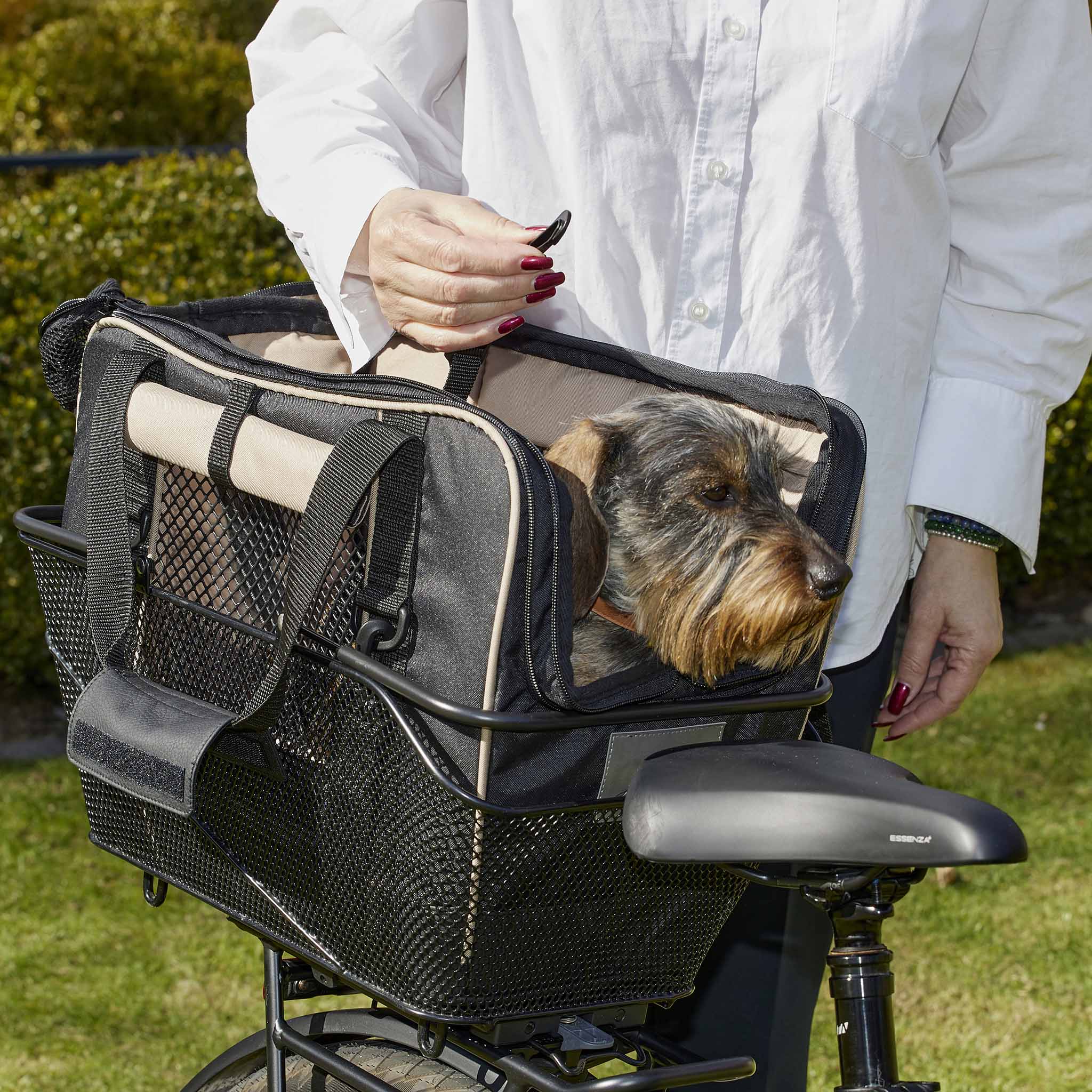 Fahrradtasche für Hunde in schwarz im Fahrradkorb mit Dackel