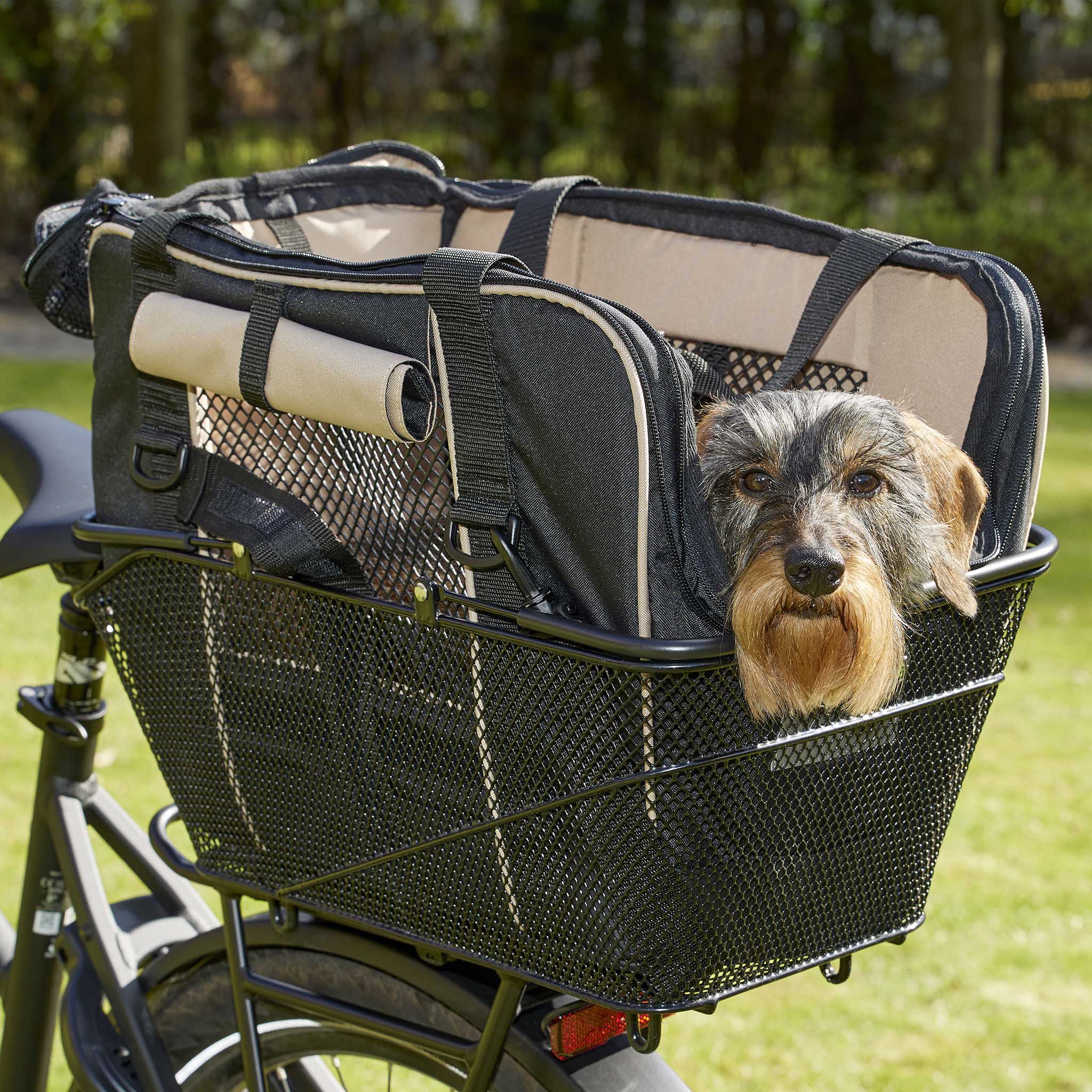 Fahrradtasche für Hunde in schwarz im Fahrradkorb mit Dackel alle Seiten offen.