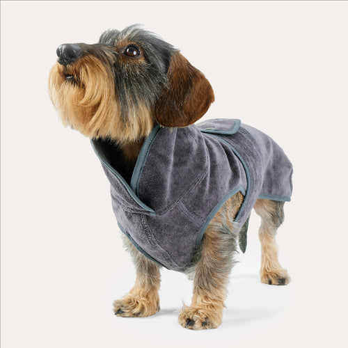 Leopold's Finest | Dackel trägt Hundebademantel [Anthrazit]