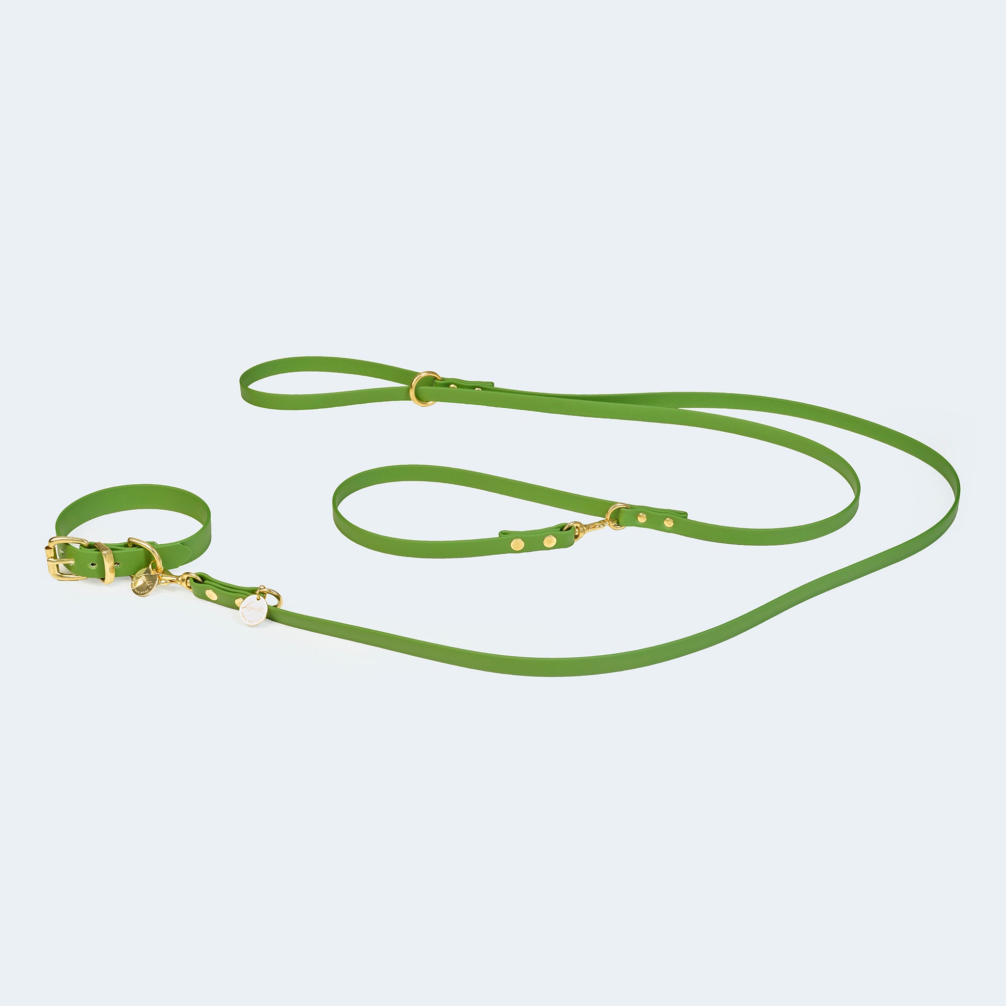 Hundeleine Adventure verstellbar in Oliv mit passendem Hundehalsband in Oliv [Oliv]