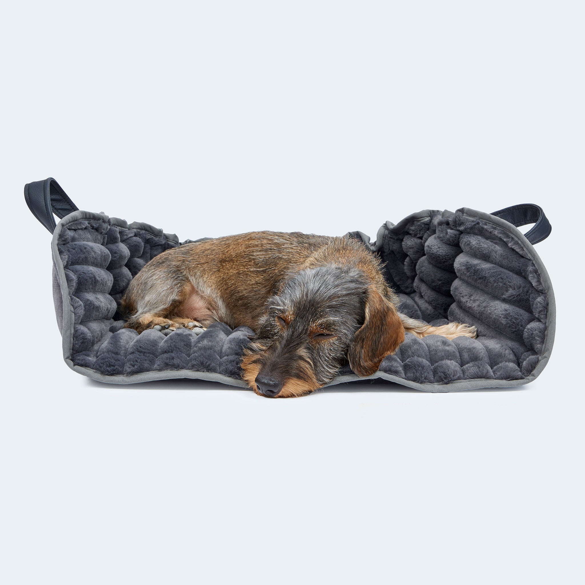 Leopold's Finest | Dackel auf weichem Hundekissen Cosy Cloud in Muschel-Form in der Farbe anthrazit.
