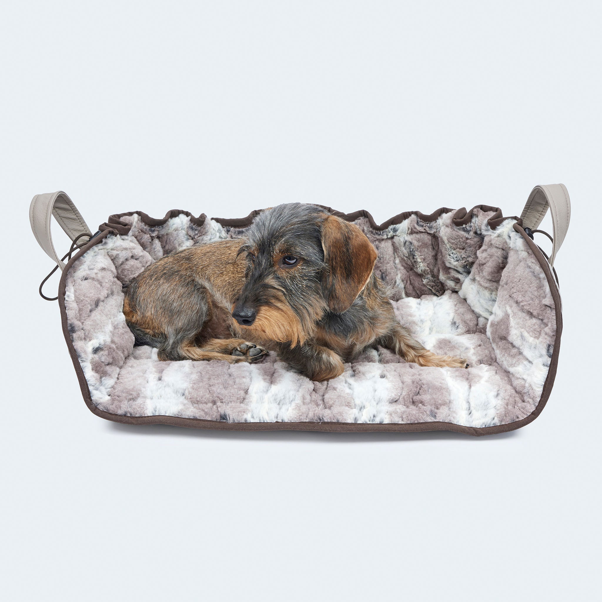 Leopold's Finest | Dackel auf weichem Hundekissen Cosy Cloud in Muschel-Form in Luchs-Optik. 