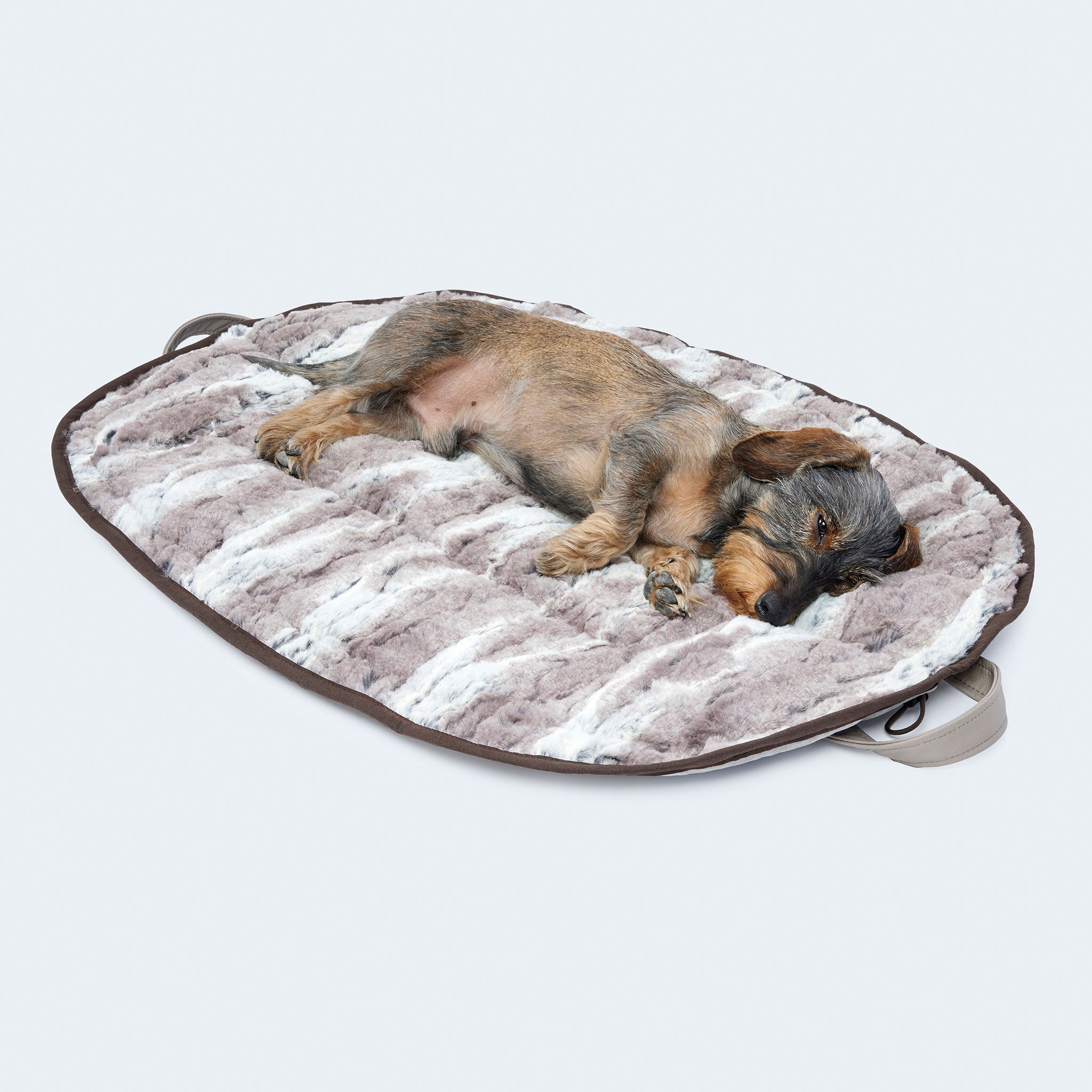 Leopold's Finest | Dackel auf weichem Hundekissen Cosy Cloud in aufgeklappter Form in Luchs-Optik.