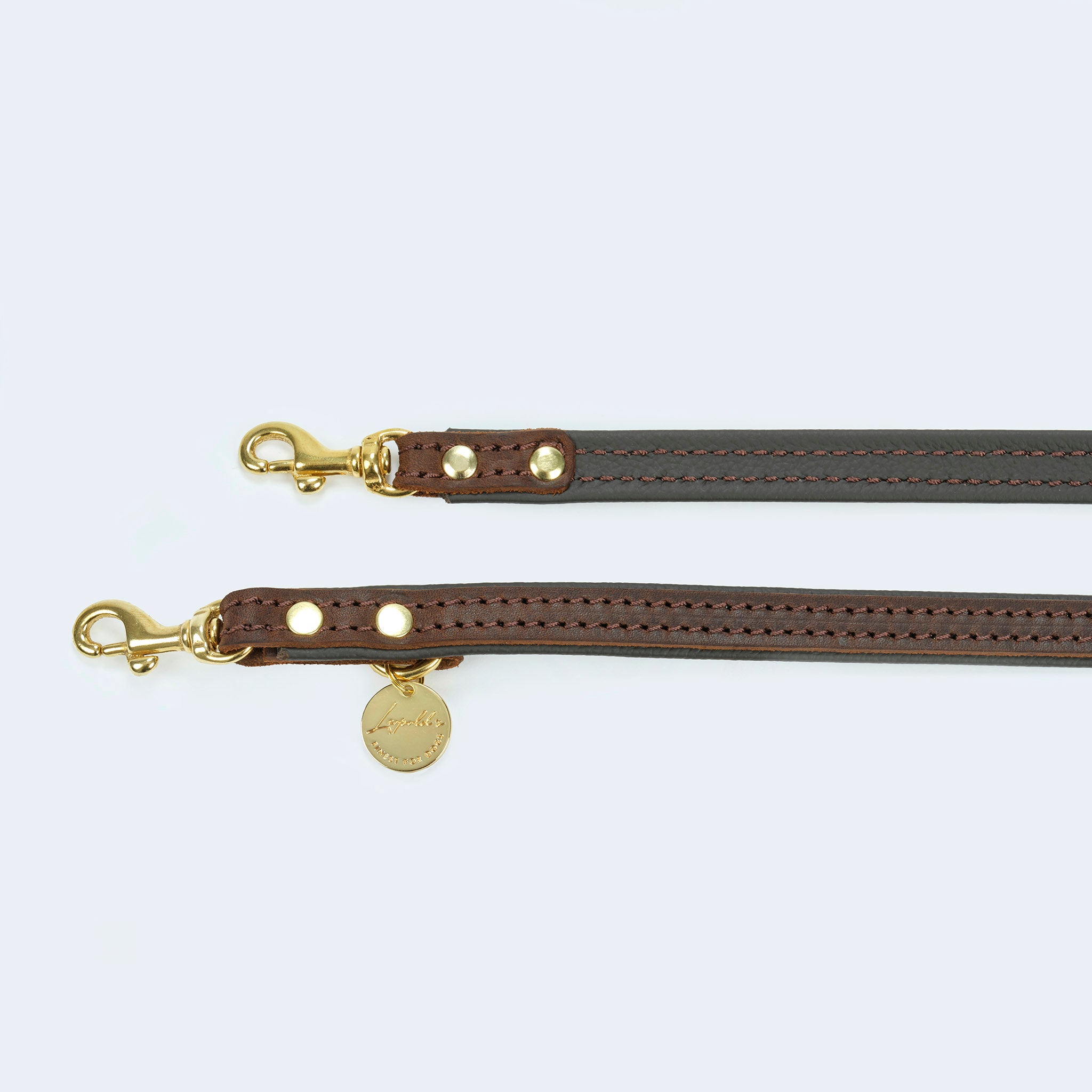 Leopold's Finest | Verstellbare Hundeleine in dunkelbraun mit goldenen Karabinern aus Messing für Dackel und kleine Hunde Detailansicht