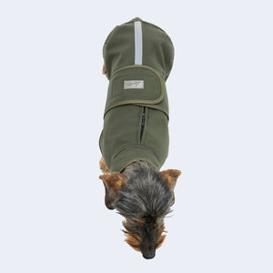 Hundemantel Dackel Softshell oliv
