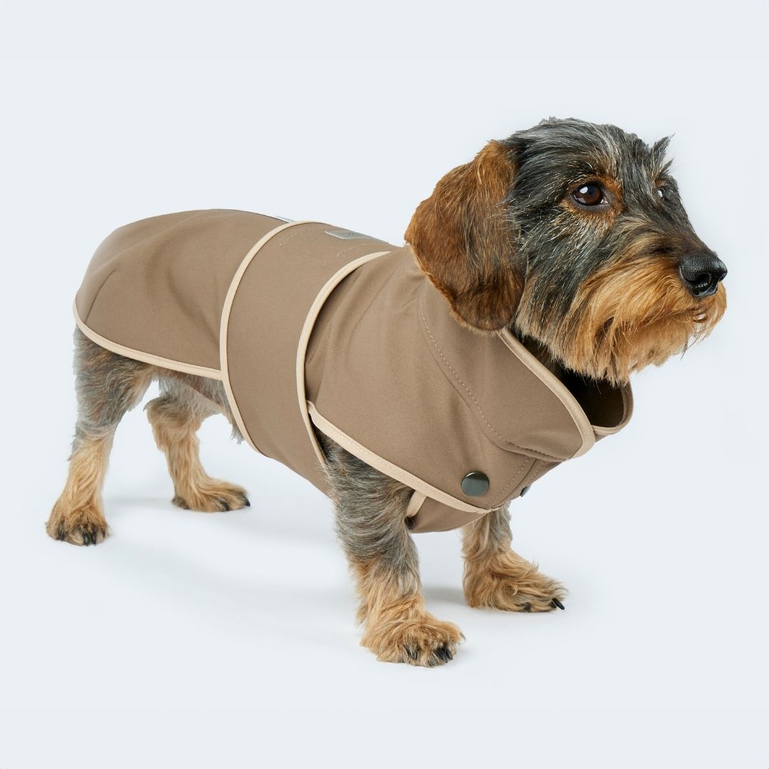 Hundemantel Dackel Softshell braun