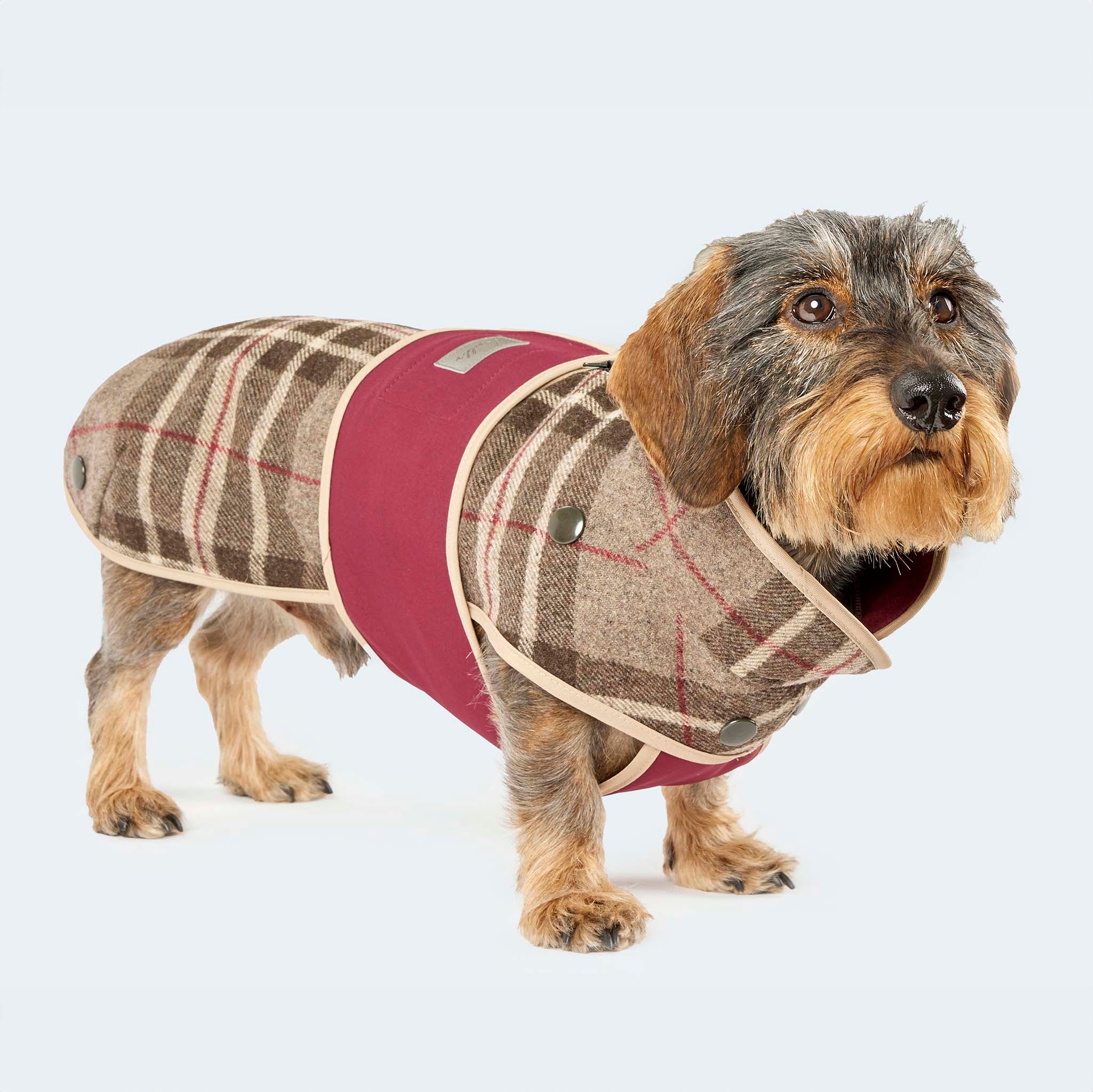 Hunde Wollmantel mit Innenfutter in Glencheck Muster in braun | Leopold's  Finest for dogs