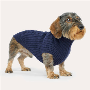 Leopold's Finest | Dackel trägt Hundepullover aus Merinowolle für Dackel und kleine Hunde in dunkelblau