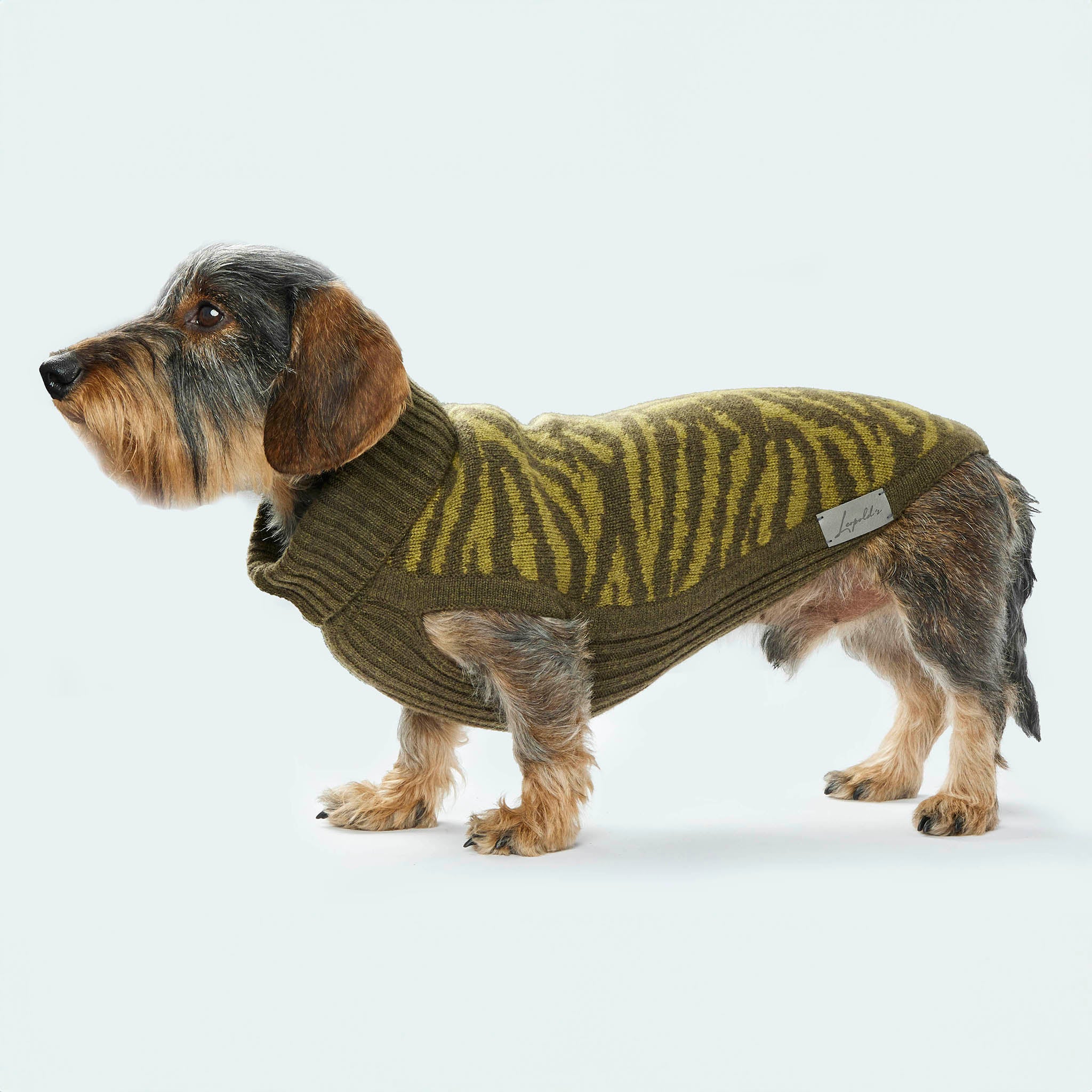 Leopold's Finest | Dackel trägt Hundepullover aus 100% Schurwolle ür Dackel und kleine Hunde in oliv mit Zebramuster Seitenansicht