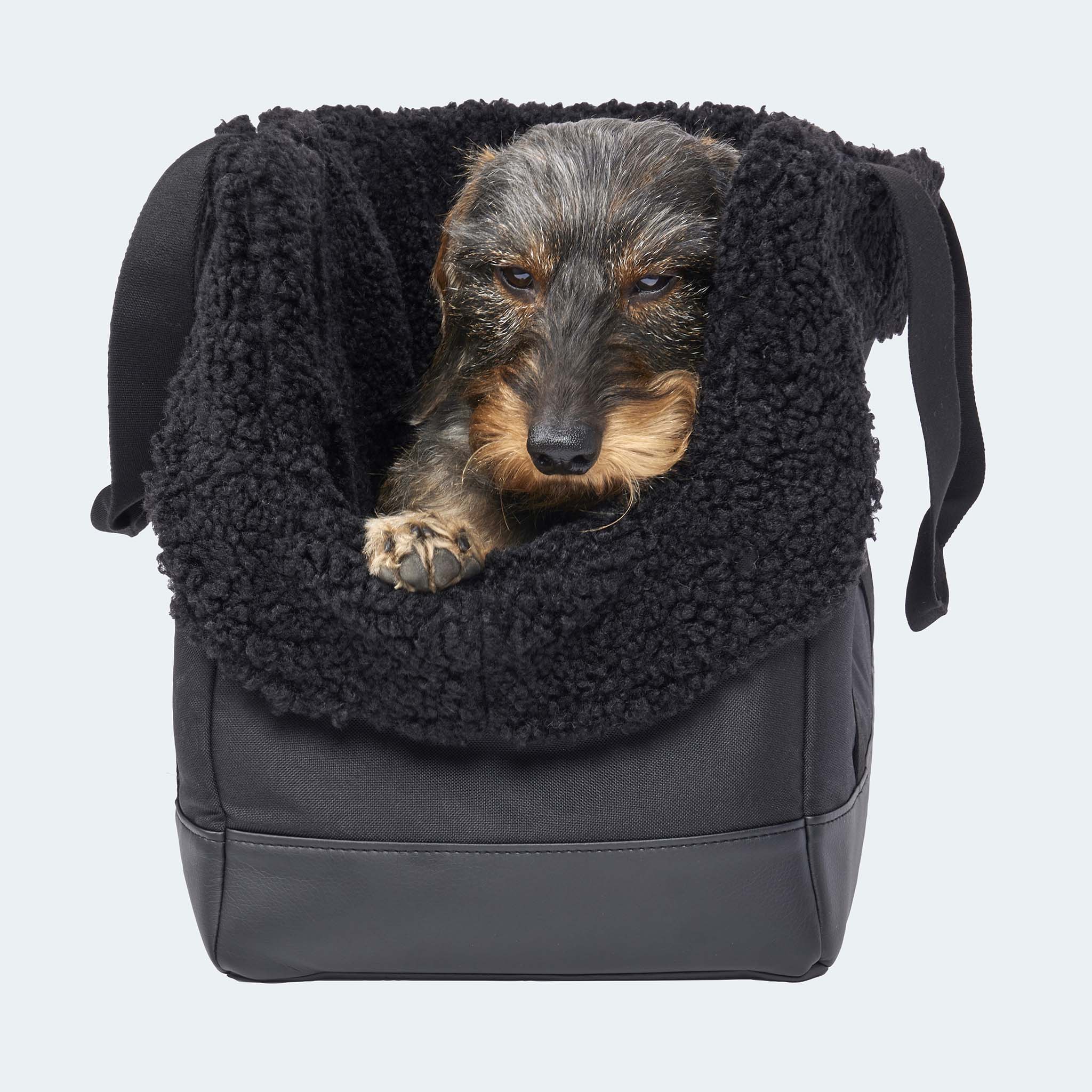 Hundetasche EasyLuxe für Dackel und kleine Hunde mit Dackel in der Tasche von vorne [schwarz]