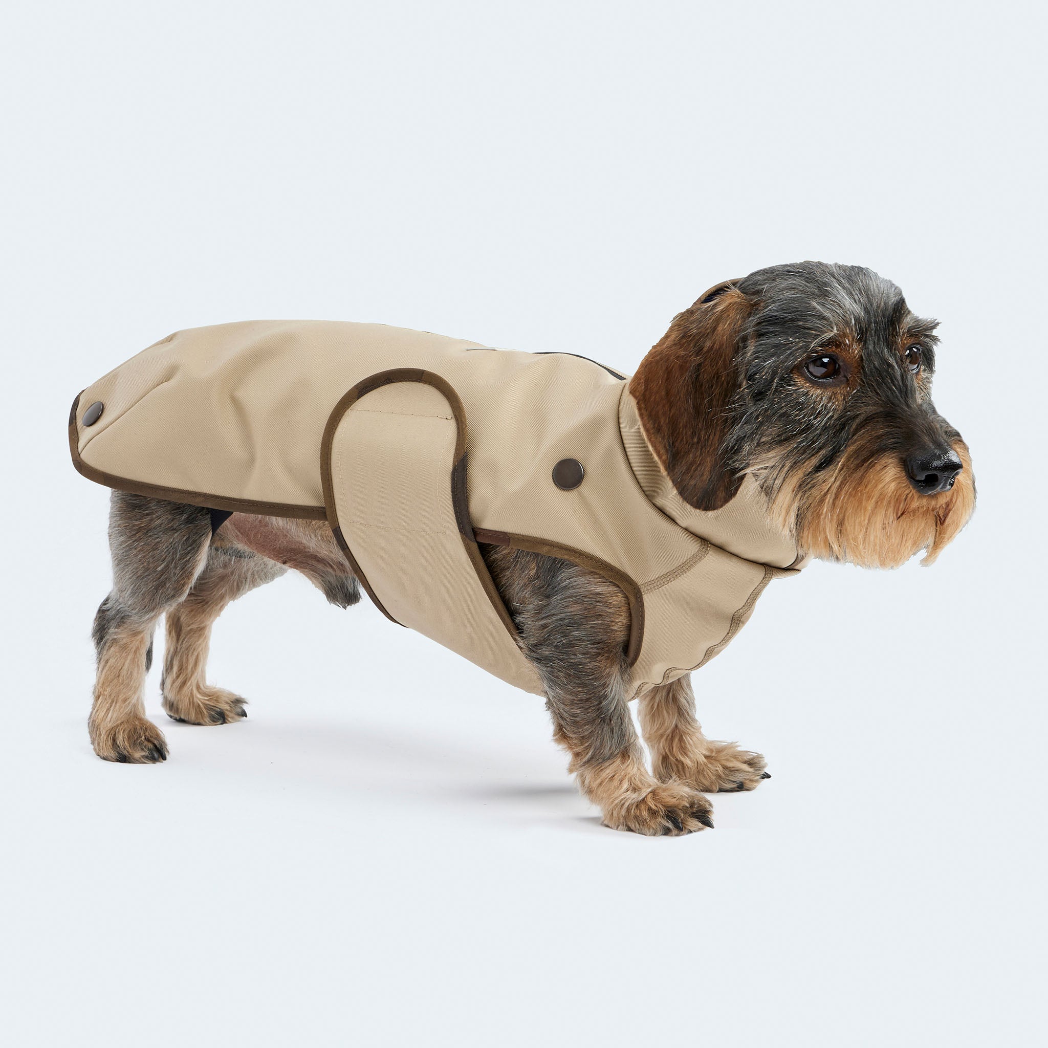 Leopold's Finest | Dackel in gefüttertem
Hundewintermantel im Parka Stil in beige. Seitenansicht