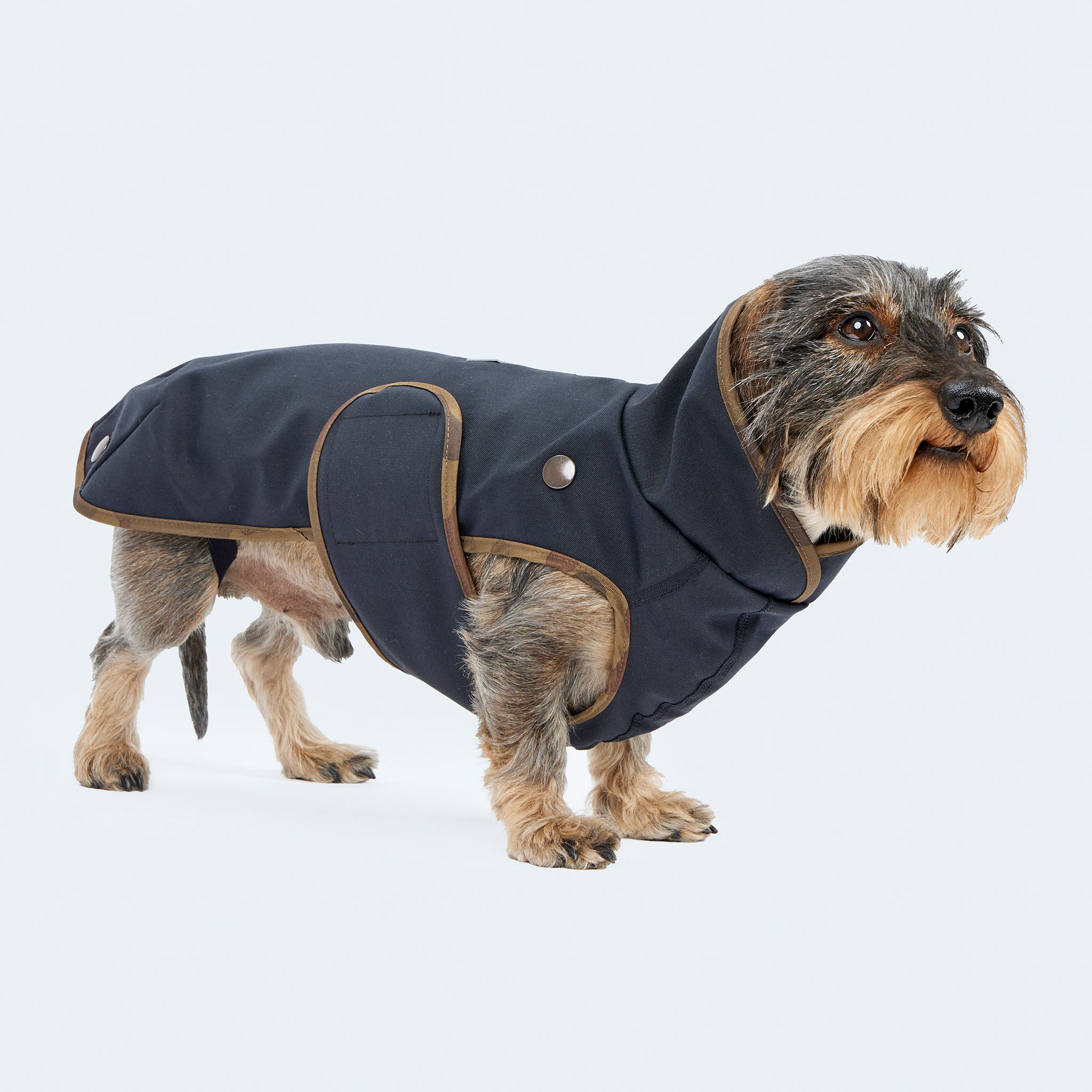 Leopold's Finest | Dackel in gefüttertem
Hundewintermantel im Parka Stil in navy. Seitenansicht
