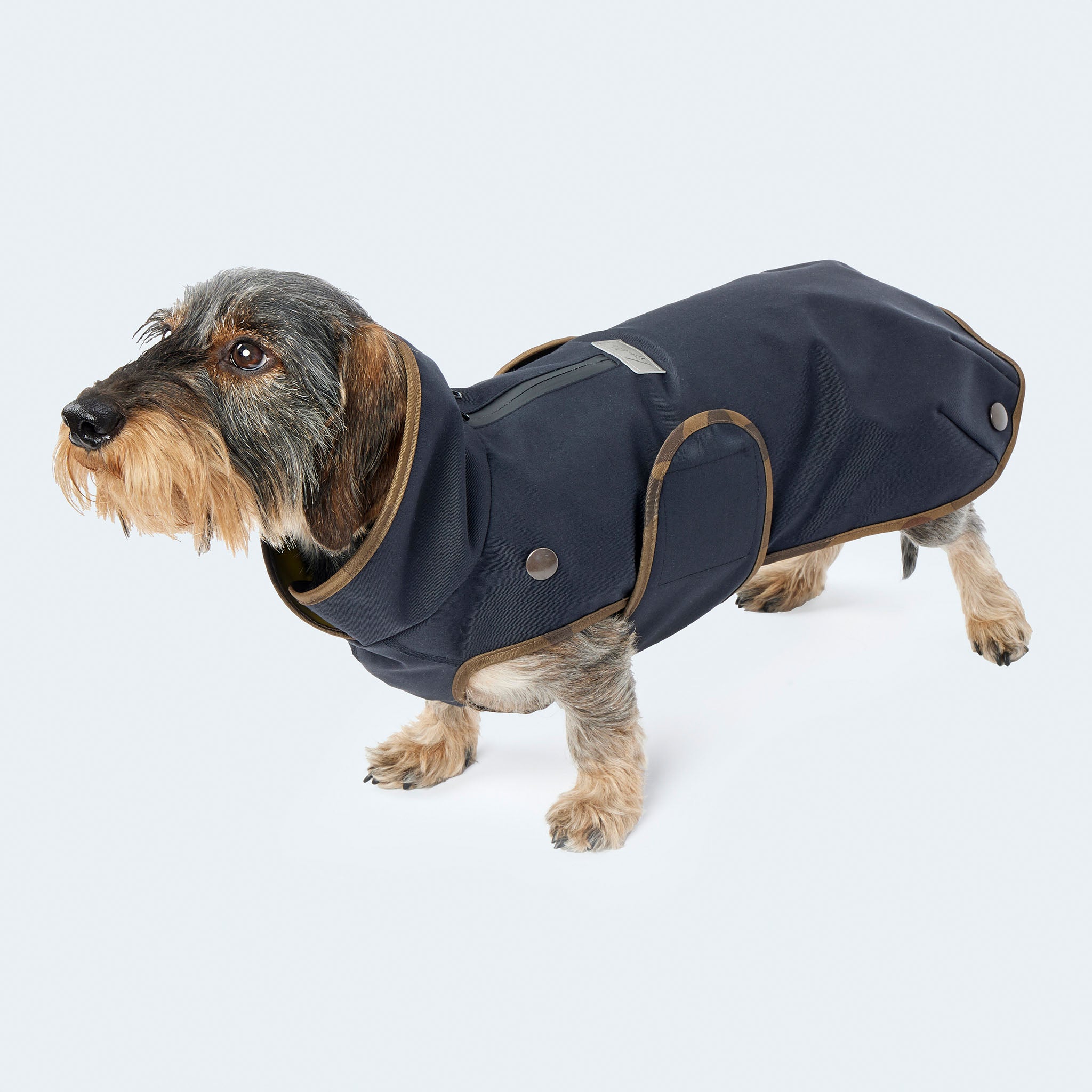 Leopold's Finest | Dackel in gefüttertem
Hundewintermantel im Parka Stil in navy. Seitenansicht
