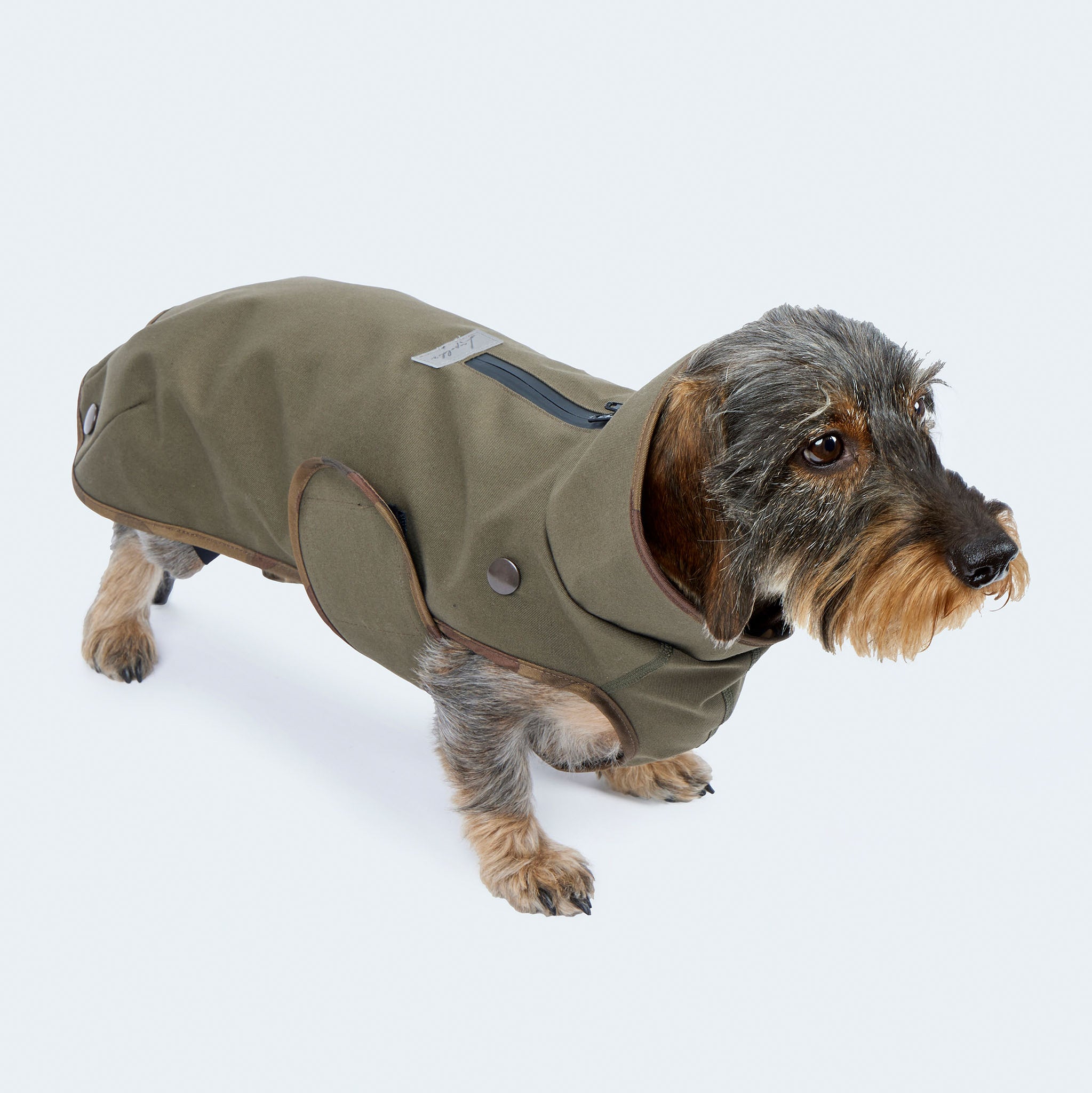 Leopold's Finest | Dackel in gefüttertem
Hundewintermantel im Parka Stil in oliv. Seitenansicht