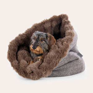 Leopold's Finest for Dogs Rauhaardackel liegt in Hunde Loden Kuschelsack Genf mit kuscheligem Webpelz Innenfutter