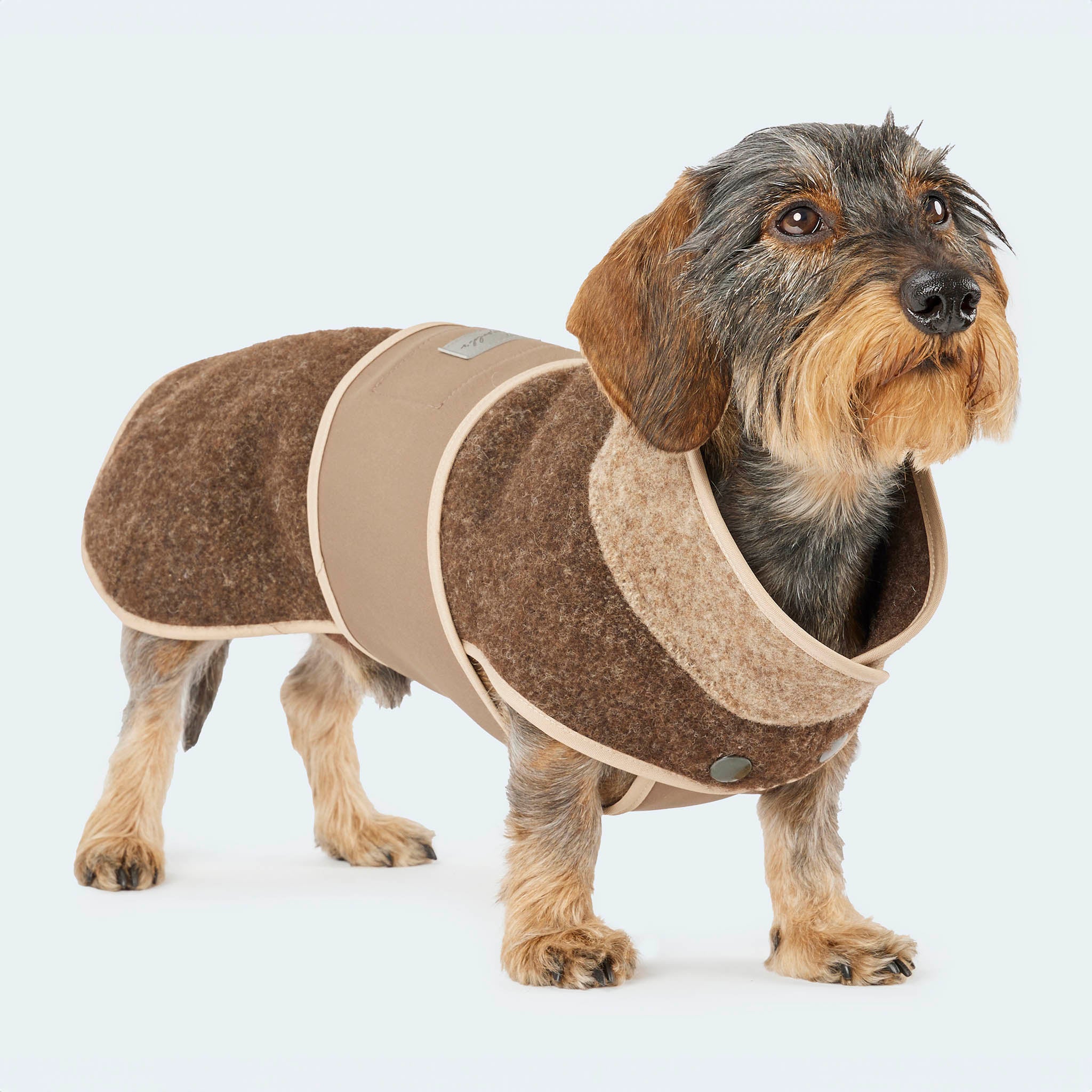 hundemantel loden Loden Hundemantel mit Softshell-Brustlatz in Braun