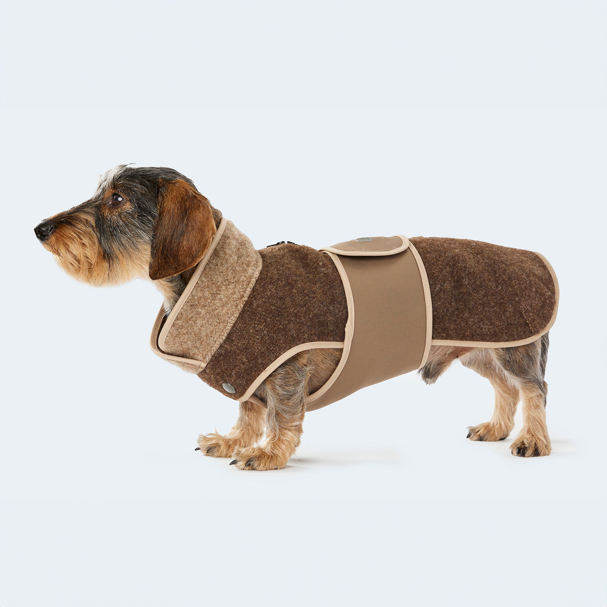 Leopold's Finest | Dackel trägt Lodenmantel mit Softshellbrustlatz in braun für Dackel und kleine Hunde Seitenansicht