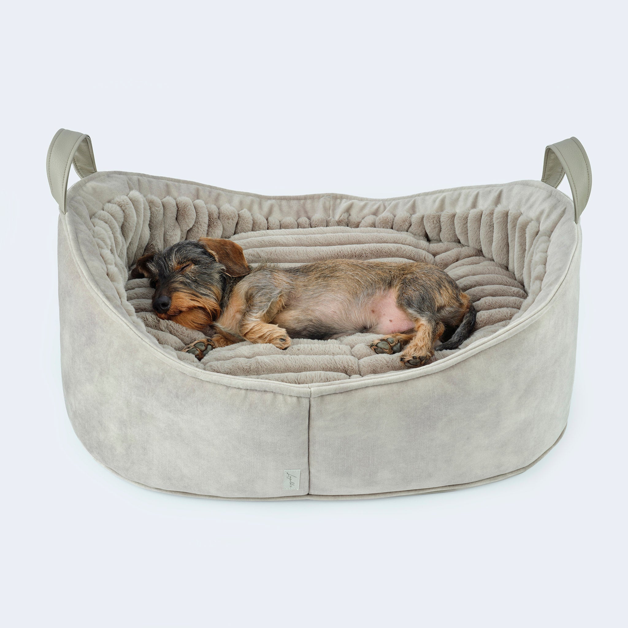 hundebett kleiner hund Hundebett für Dackel und kleine Hunde Velvet Oyster