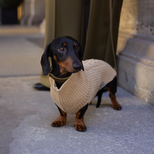 Hundepullover für Dackel von Leopold's     - von Leopold's kaufen bei leopolds-finest