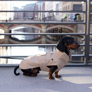 Hunde Regenmantel Wintermantel Dackel     - von Leopold's kaufen bei leopolds-finest