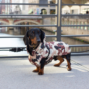 Hundewintermantel Dackel Leopold's     - von Leopold's kaufen bei leopolds-finest