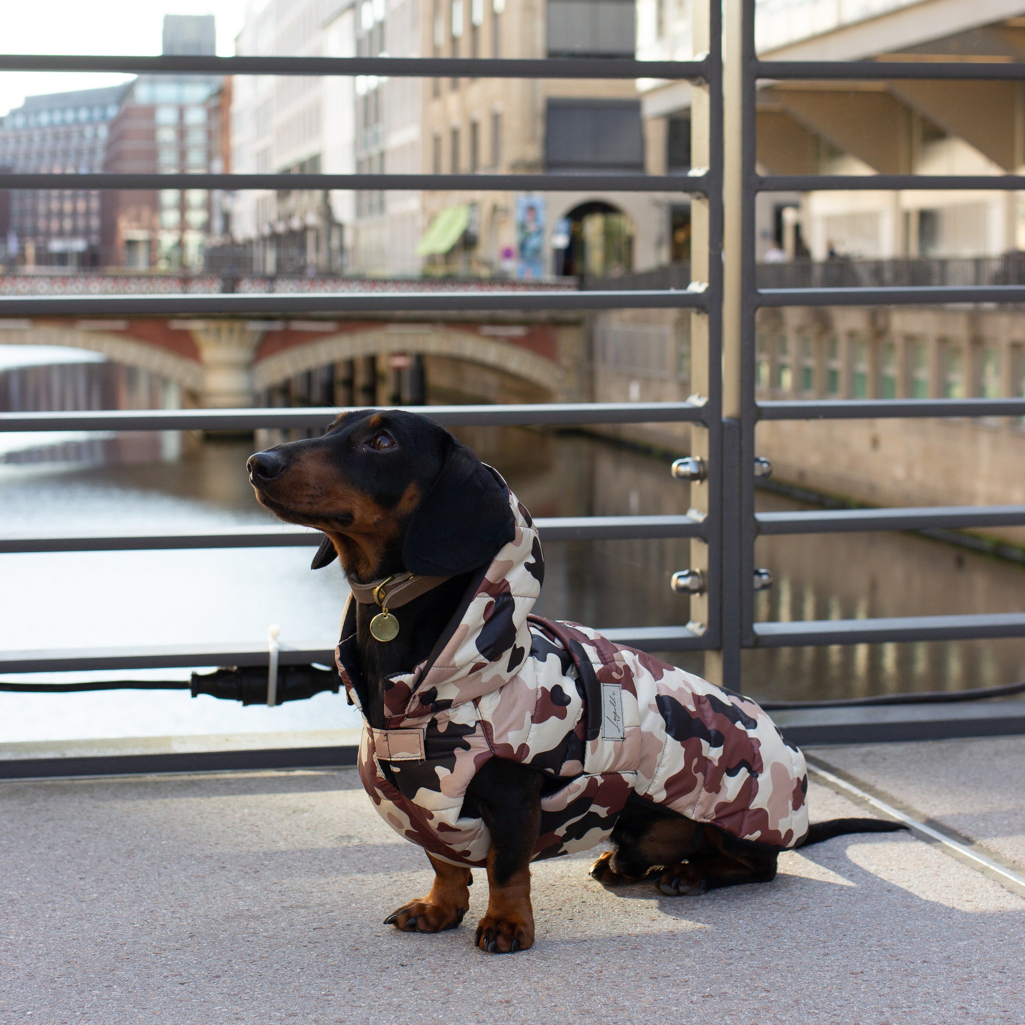 Hundemantel Dackel Leopold's