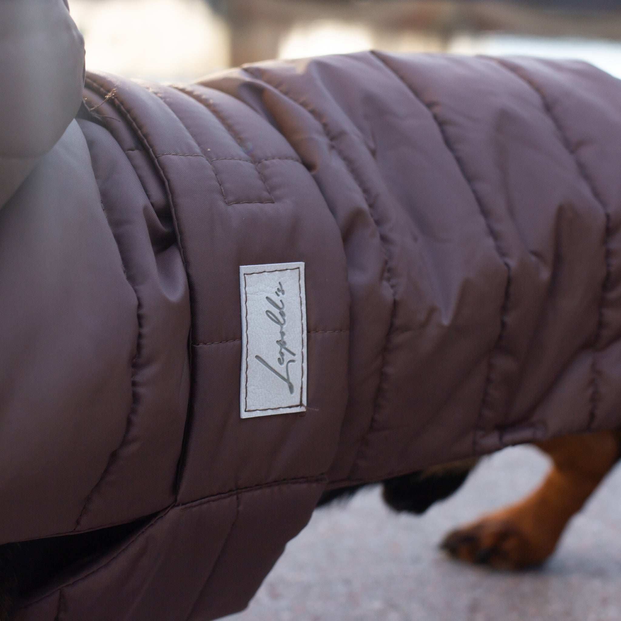 Hundemantel Dackel Leopold's
