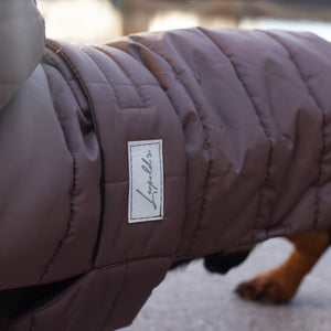 Hundemantel Winter Dackel Leopold's     - von Leopold's kaufen bei leopolds-finest