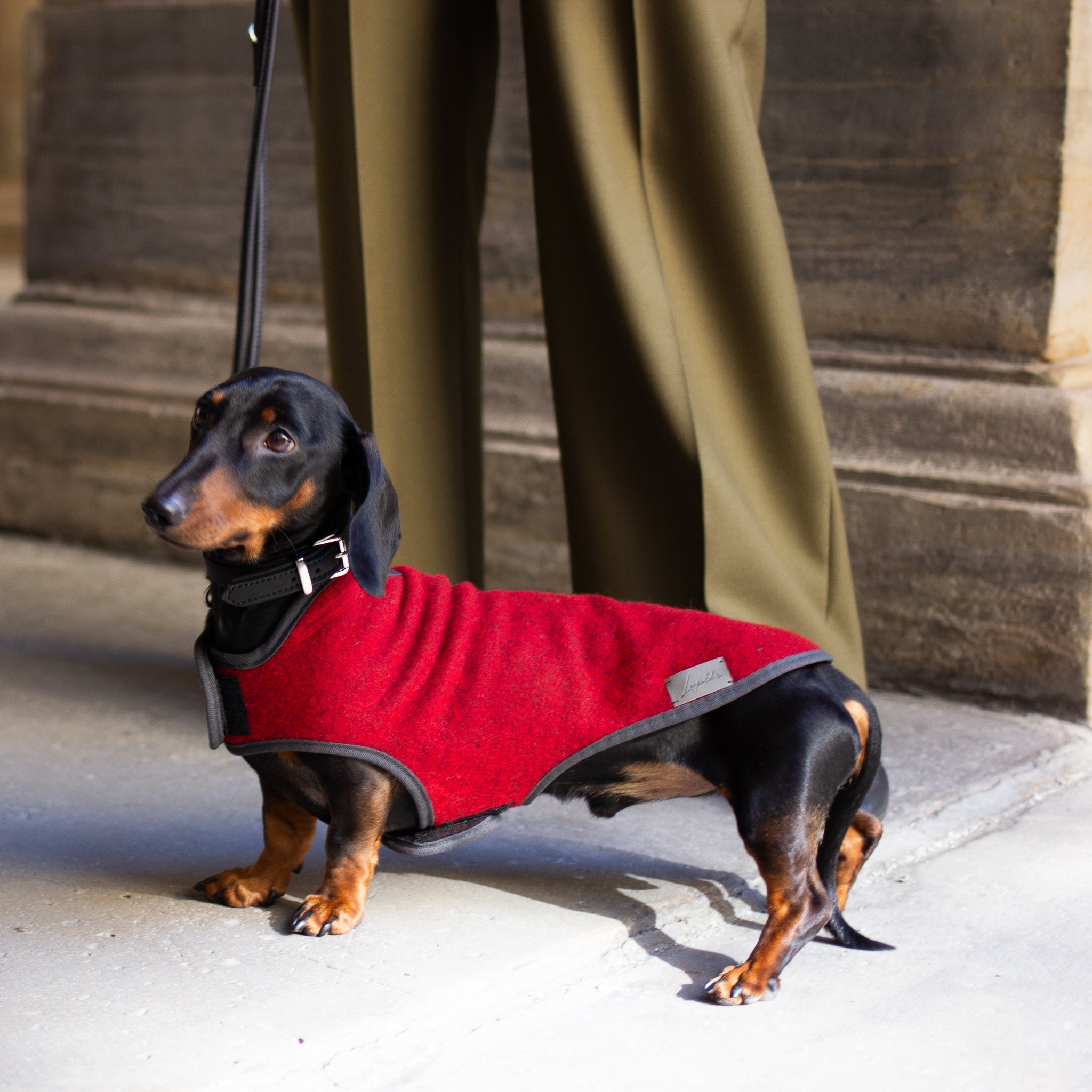 Hundemantel Dackel Loden Handarbeit     - von Leopold's kaufen bei leopolds-finest