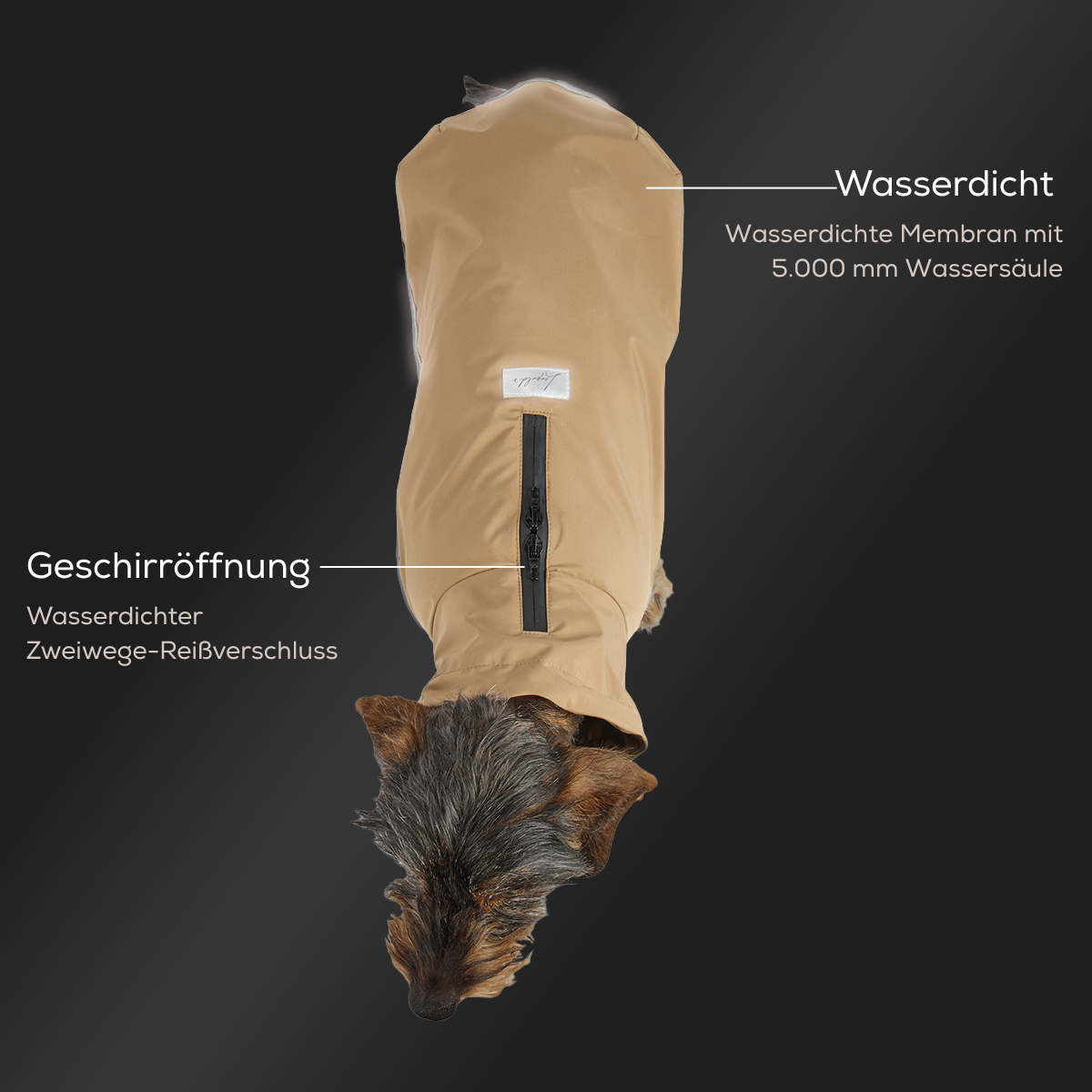 Leopold's Finest | Dackel trägt Hunde Regenmantel Active in camel für Dackel und kleine Hunde mit Reflexstreifen als Umrandung Sicht von oben Produktdetails - Wasserdicht und Geschirröffnung 