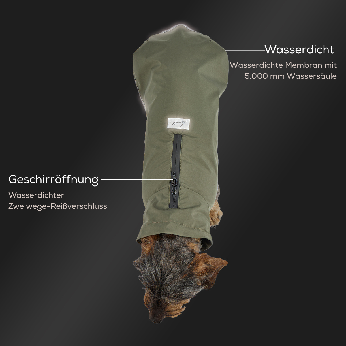 Leopold's Finest | Dackel trägt Hunde Regenmantel Active in oliv für Dackel und kleine Hunde mit Reflexstreifen als Umrandung Sicht von oben Produktdetails - Wasserdicht und Geschirröffnung