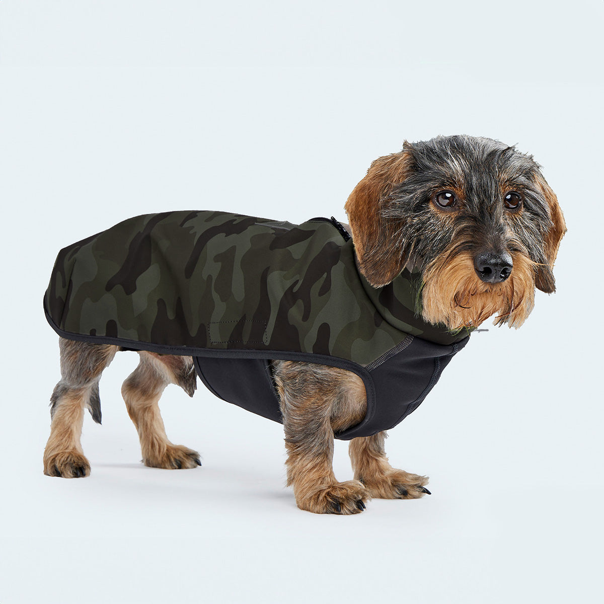 Leopold's Finest | Seitenansicht Dackel in funktionalem Windbreaker aus wind- und wasserabweisendem Material mit dunkelgrünem Camouflage-Muster.