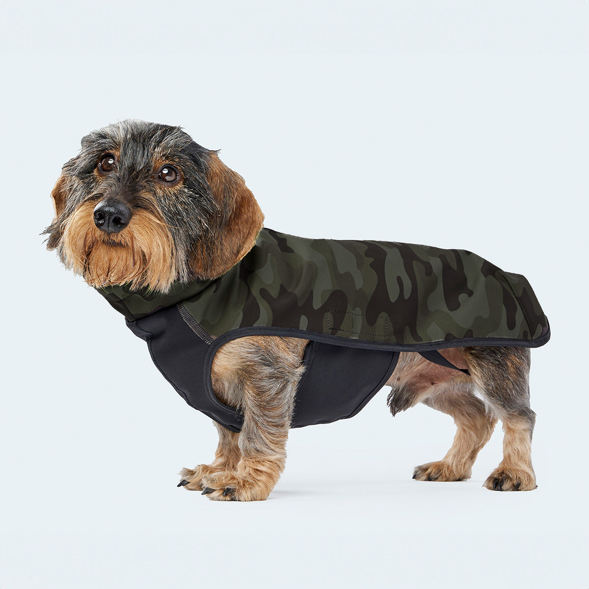 Leopold's Finest | Seitenansicht Dackel in funktionalem Windbreaker aus wind- und wasserabweisendem Material mit dunkelgrünem Camouflage-Muster.