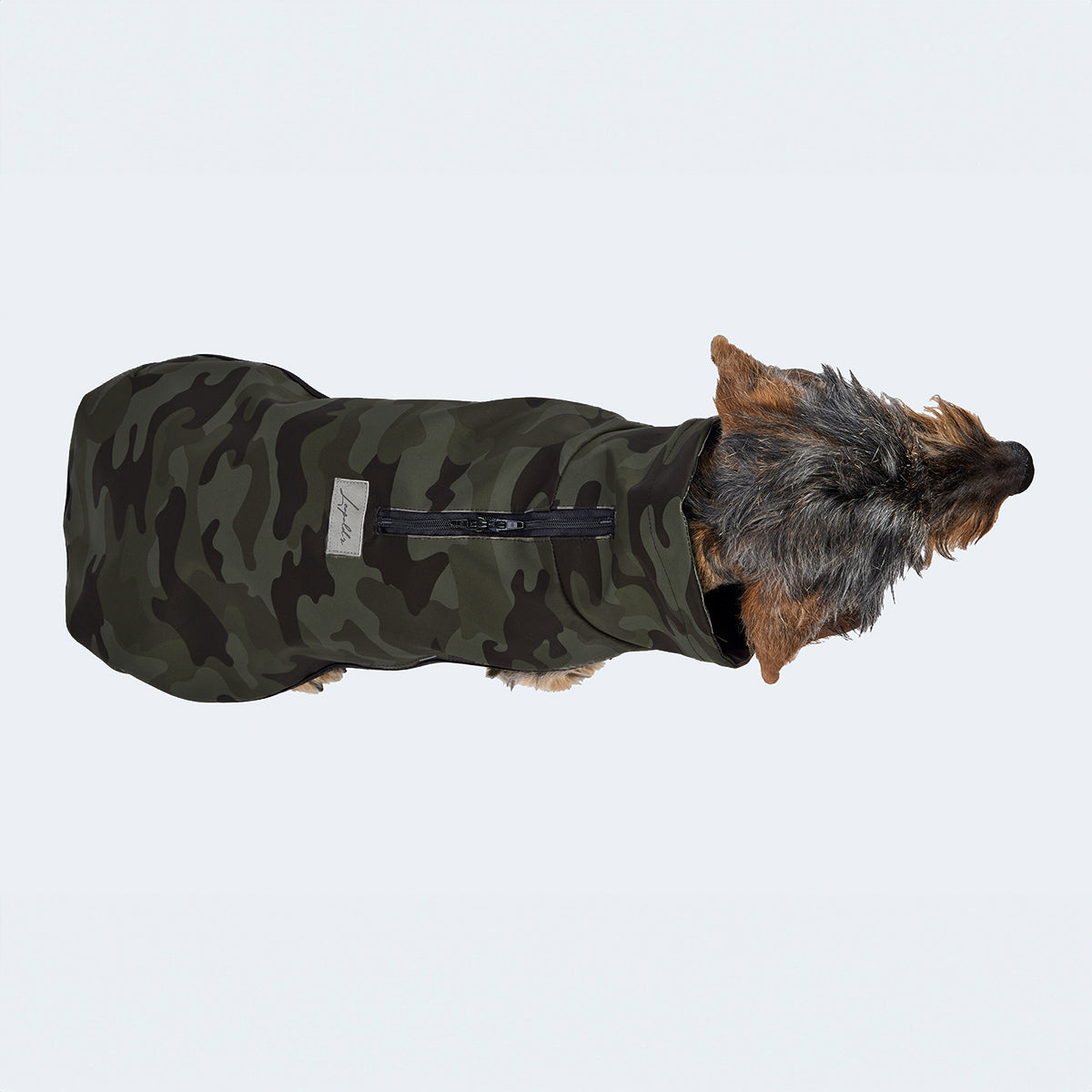 Leopold's Finest | Dackel in funktionalem Windbreaker aus wind- und wasserabweisendem Material mit dunkelgrünem Camouflage-Muster. Ansicht von oben.