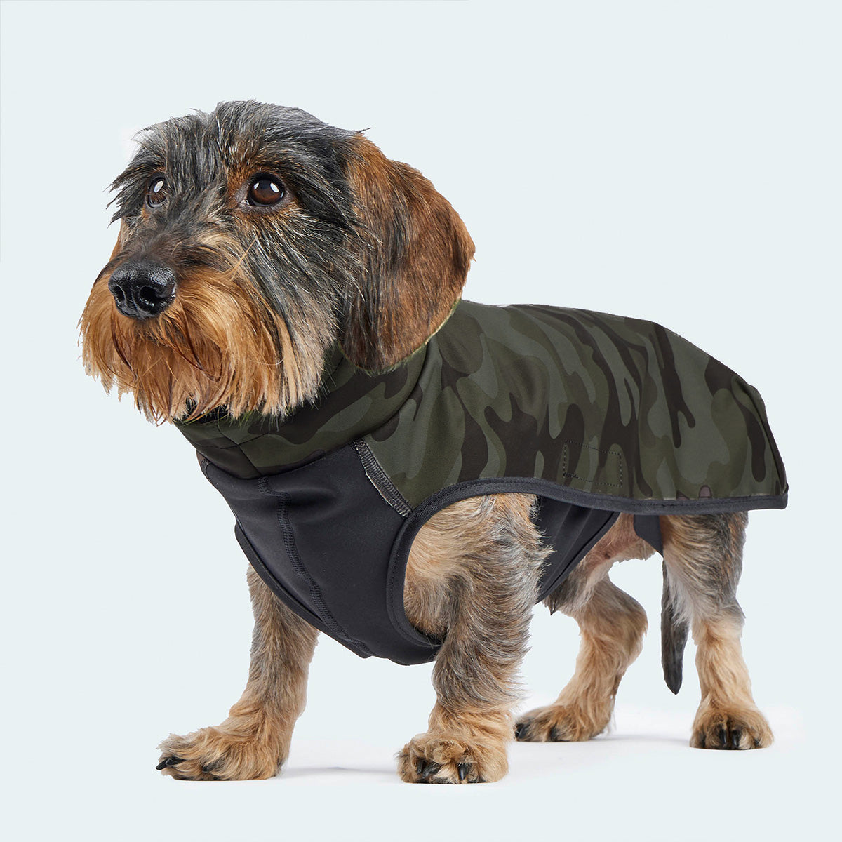 Leopold's Finest | Dackel in funktionalem Windbreaker aus wind- und wasserabweisendem Material mit dunkelgrünem Camouflage-Muster. Ansicht von vorne.