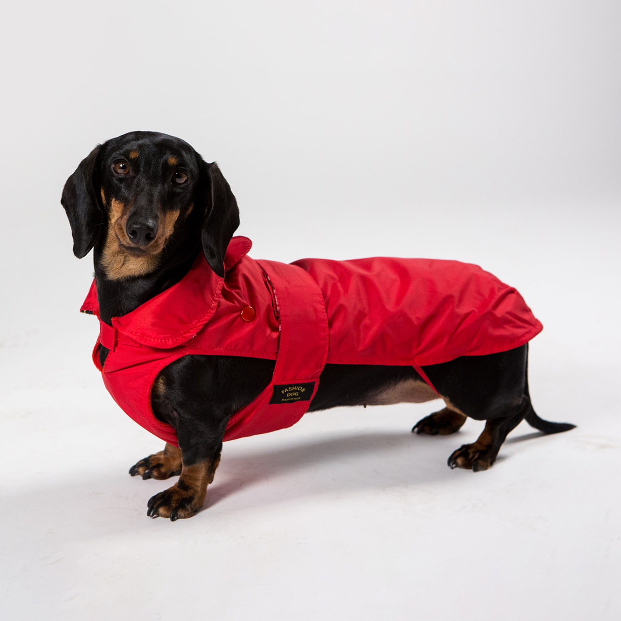 Hunde Regenmantel Dackel     - von Fashion Dog kaufen bei leopolds-finest