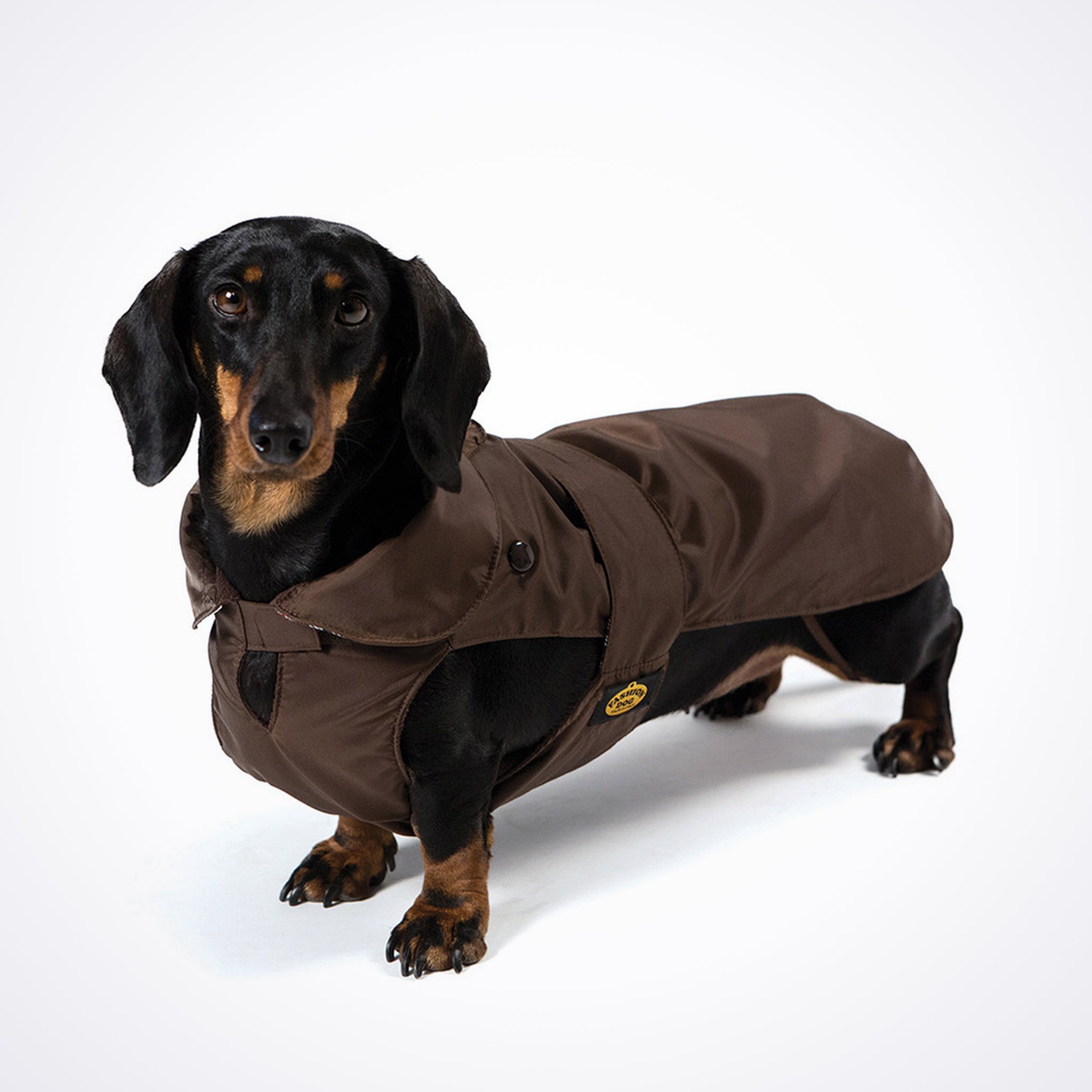Hunde Regenmantel Dackel     - von Fashion Dog kaufen bei leopolds-finest