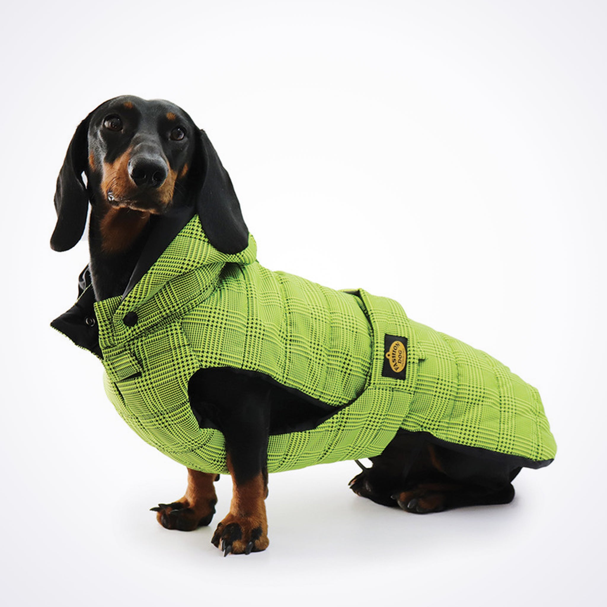 Hundemantel Dackel     - von Fashion Dog kaufen bei leopolds-finest