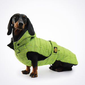 Hundemantel Dackel     - von Fashion Dog kaufen bei leopolds-finest