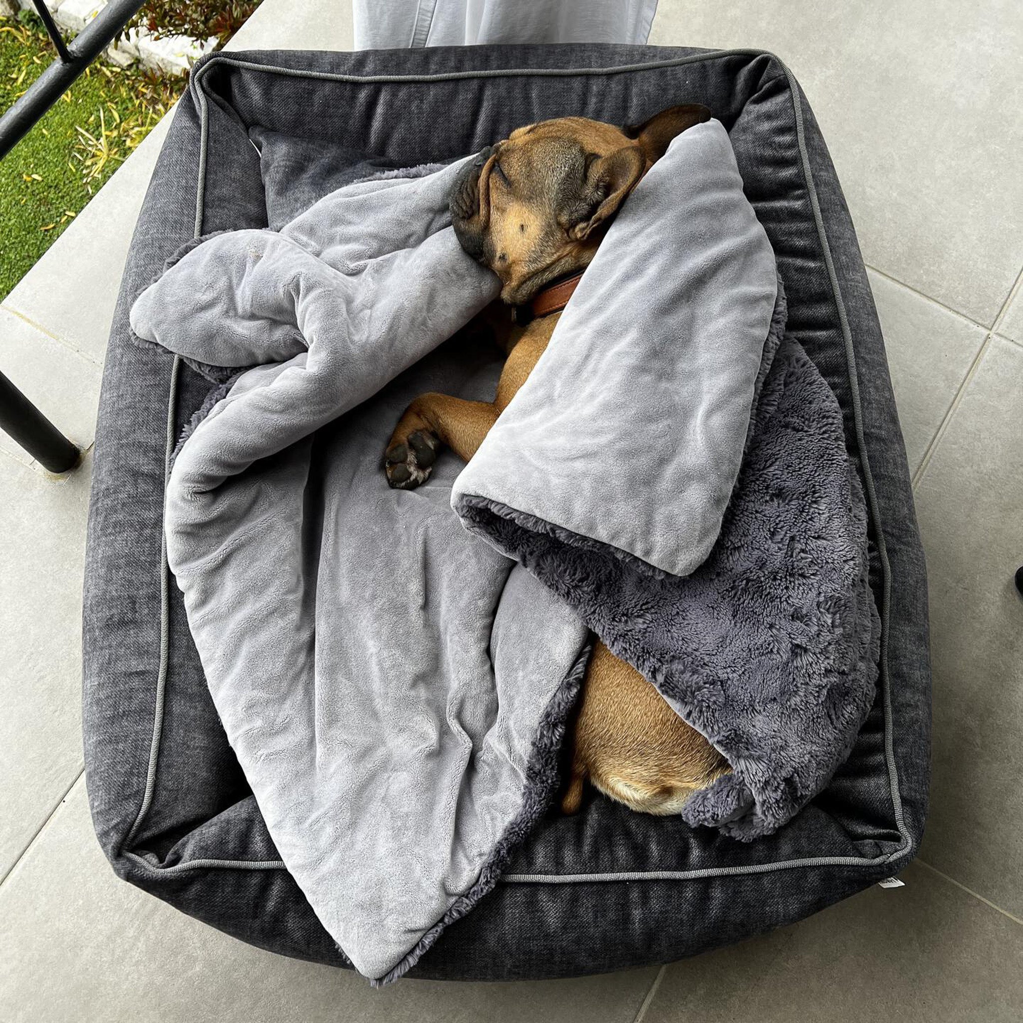 Hundebett Glam schlichte Eleganz     - von Laboni kaufen bei leopolds-finest