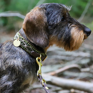 Hundehalsband Dackel handgeknüpft     - von Stilhütte kaufen bei leopolds-finest